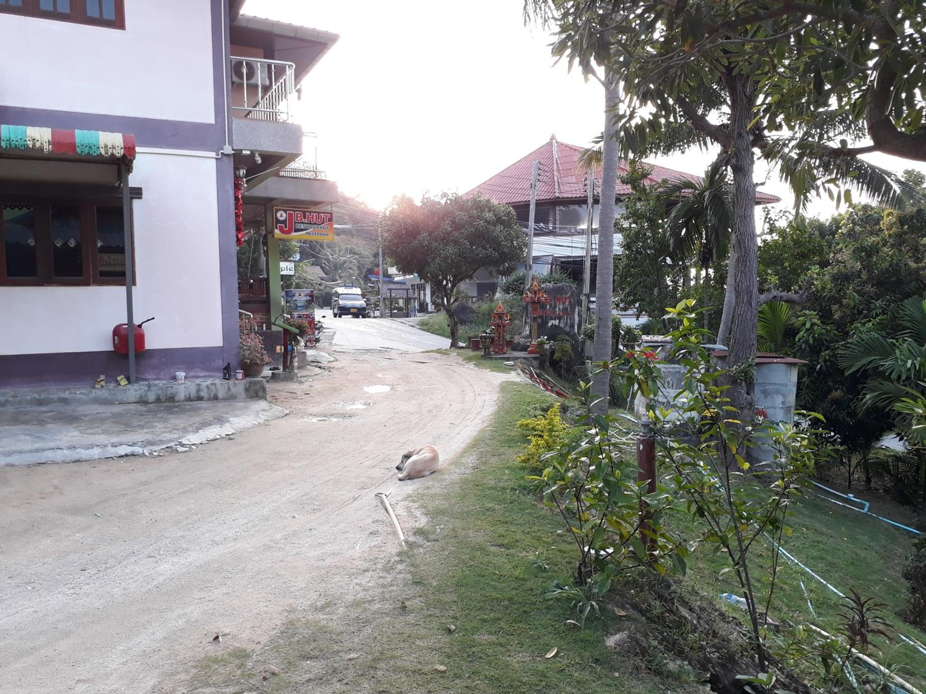 Easy Life Bungalows