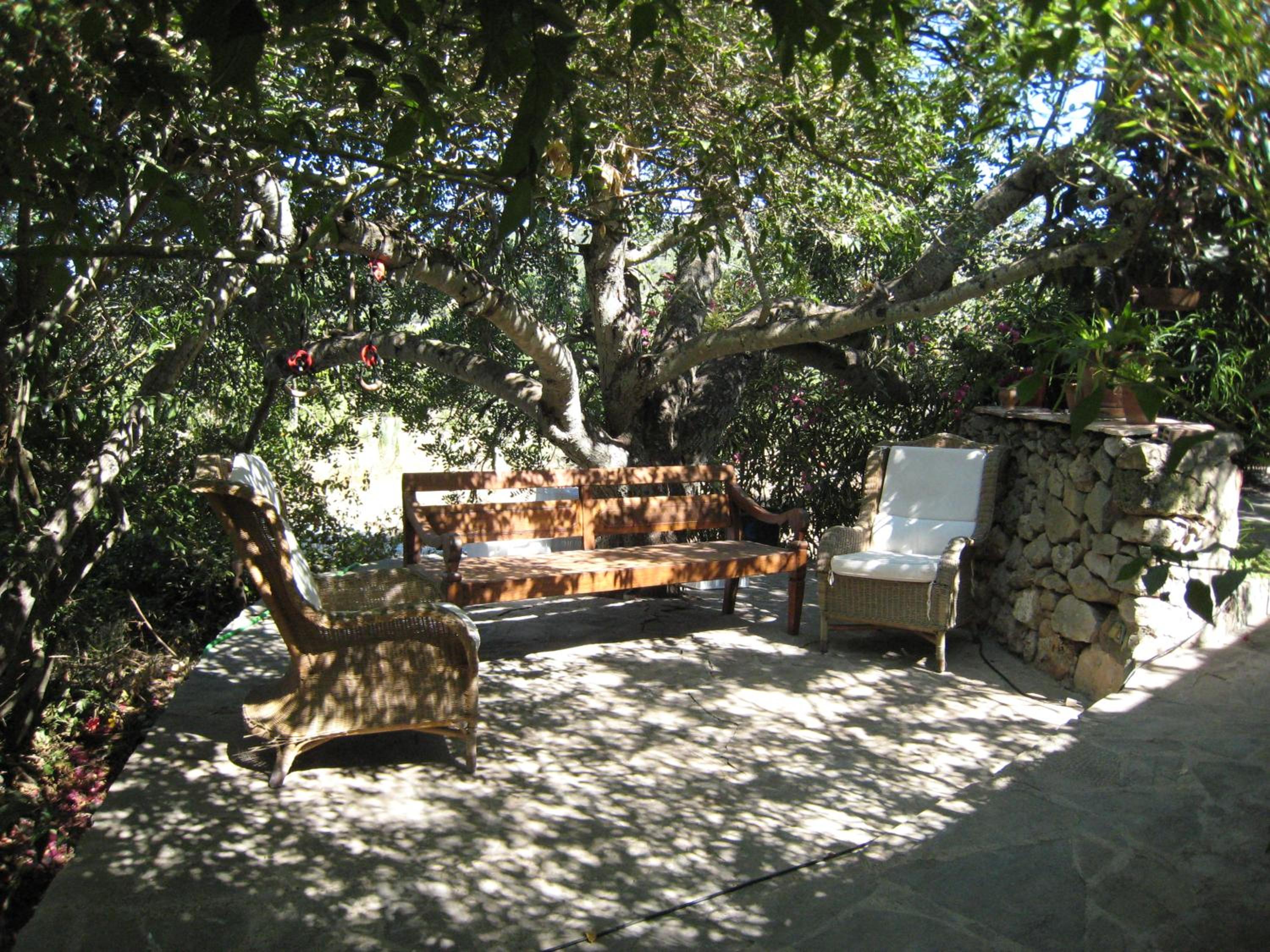 encantadora casa ibicenca photo 4