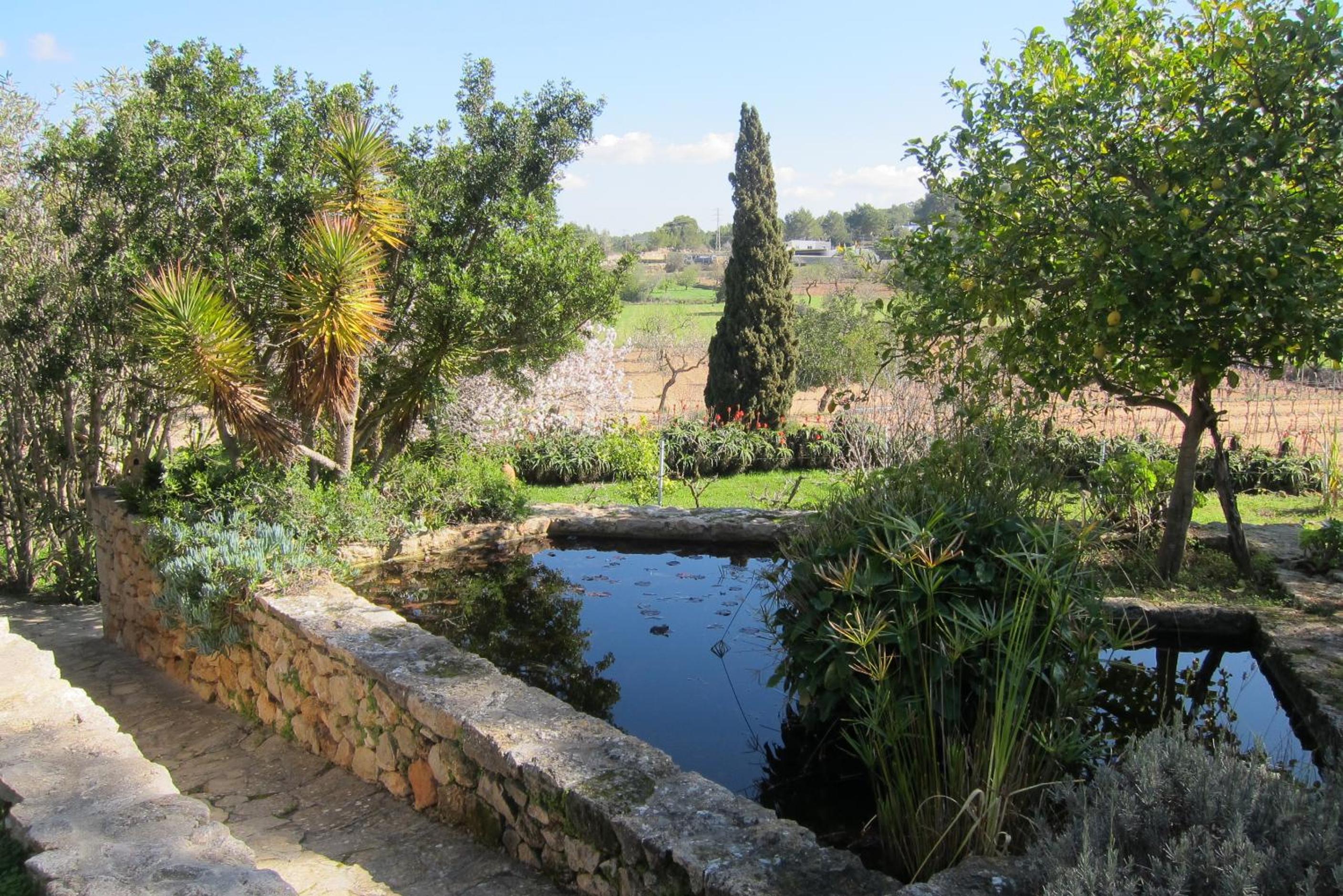 encantadora casa ibicenca photo 3