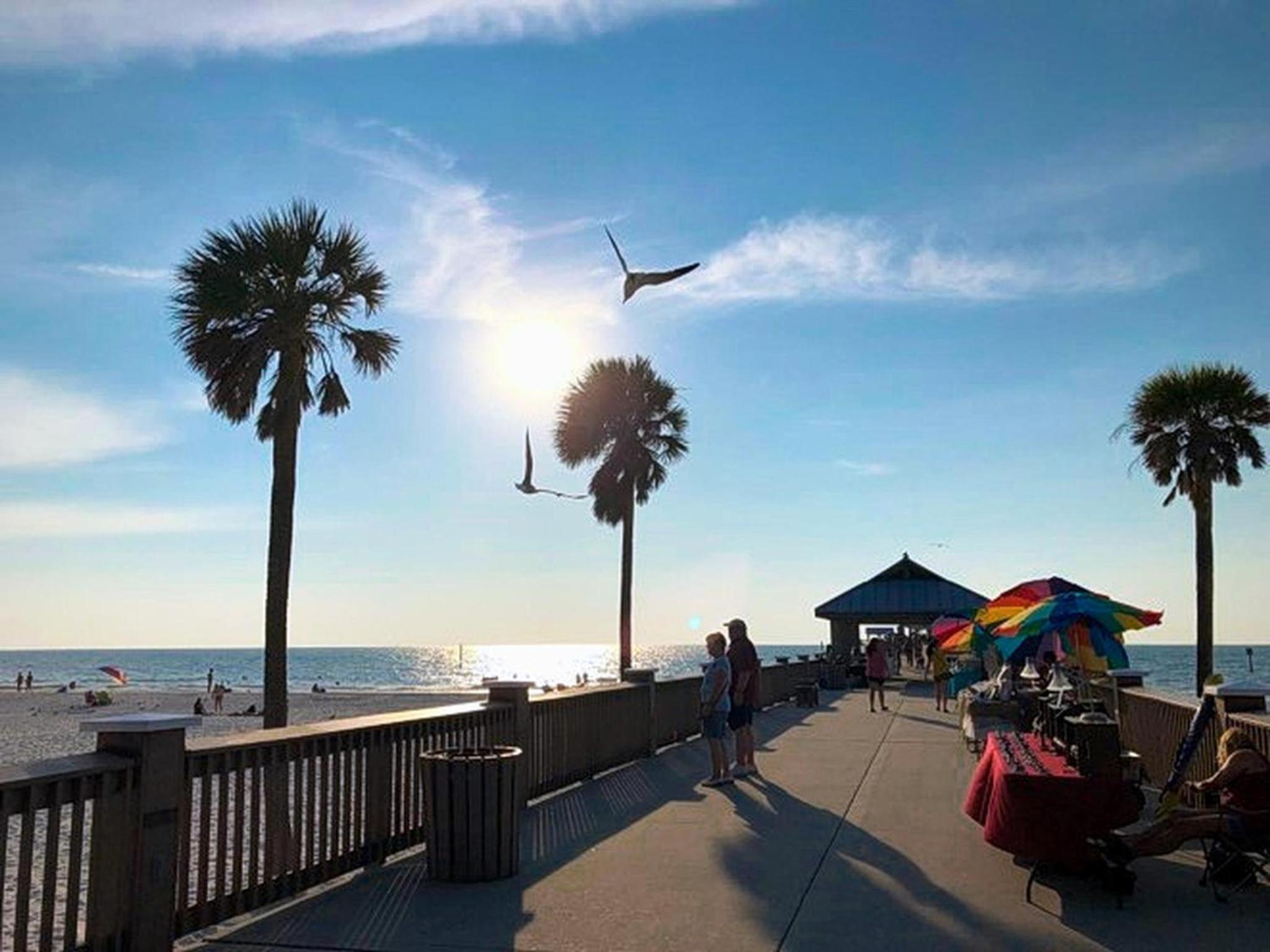 Gone Beaching 202 view 5