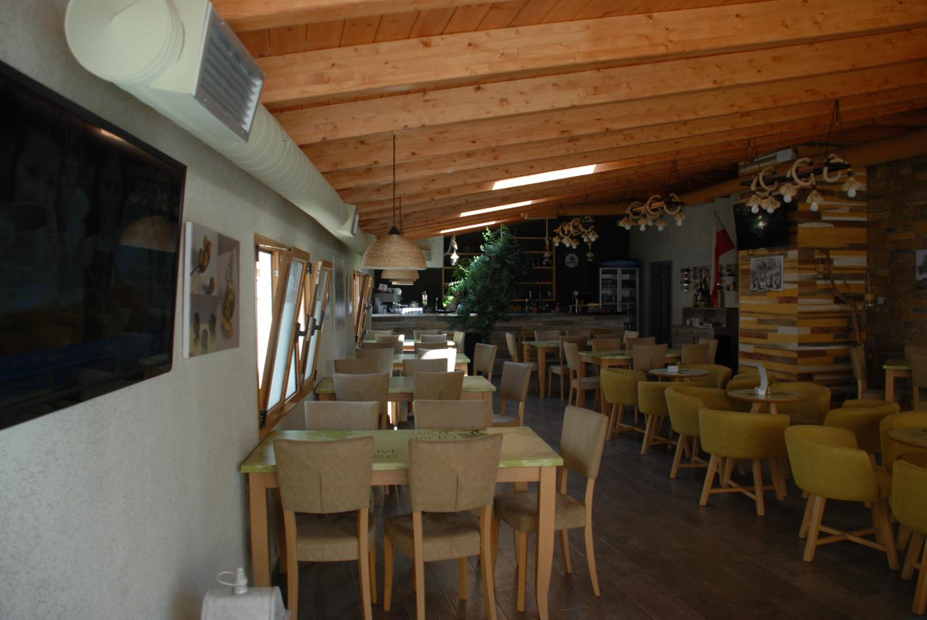 Olive Tree