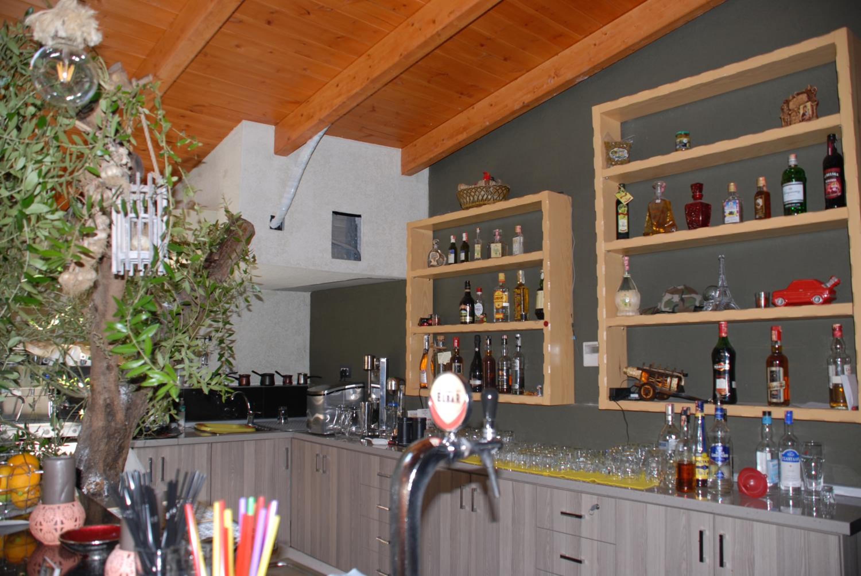 Olive Tree