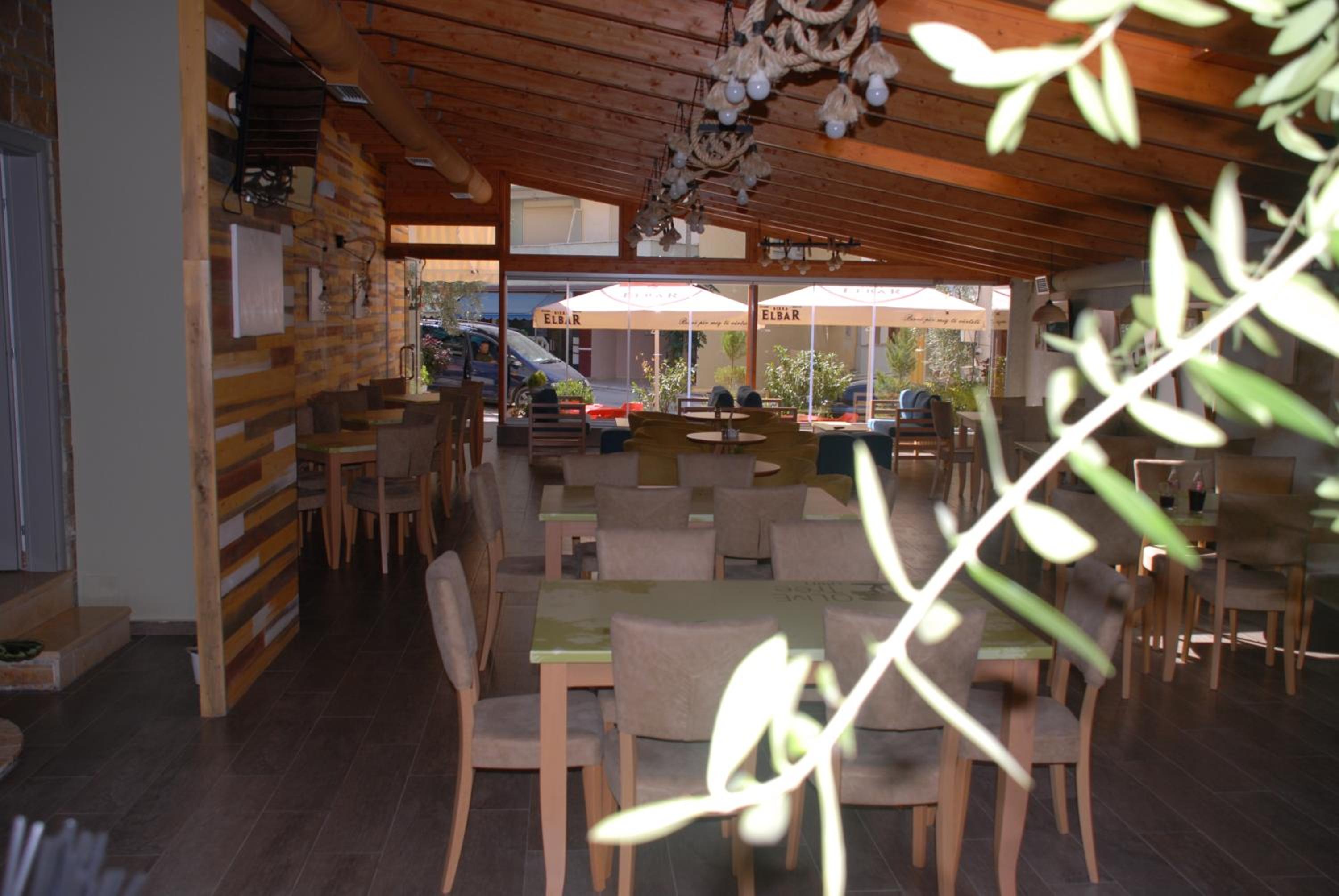 Olive Tree
