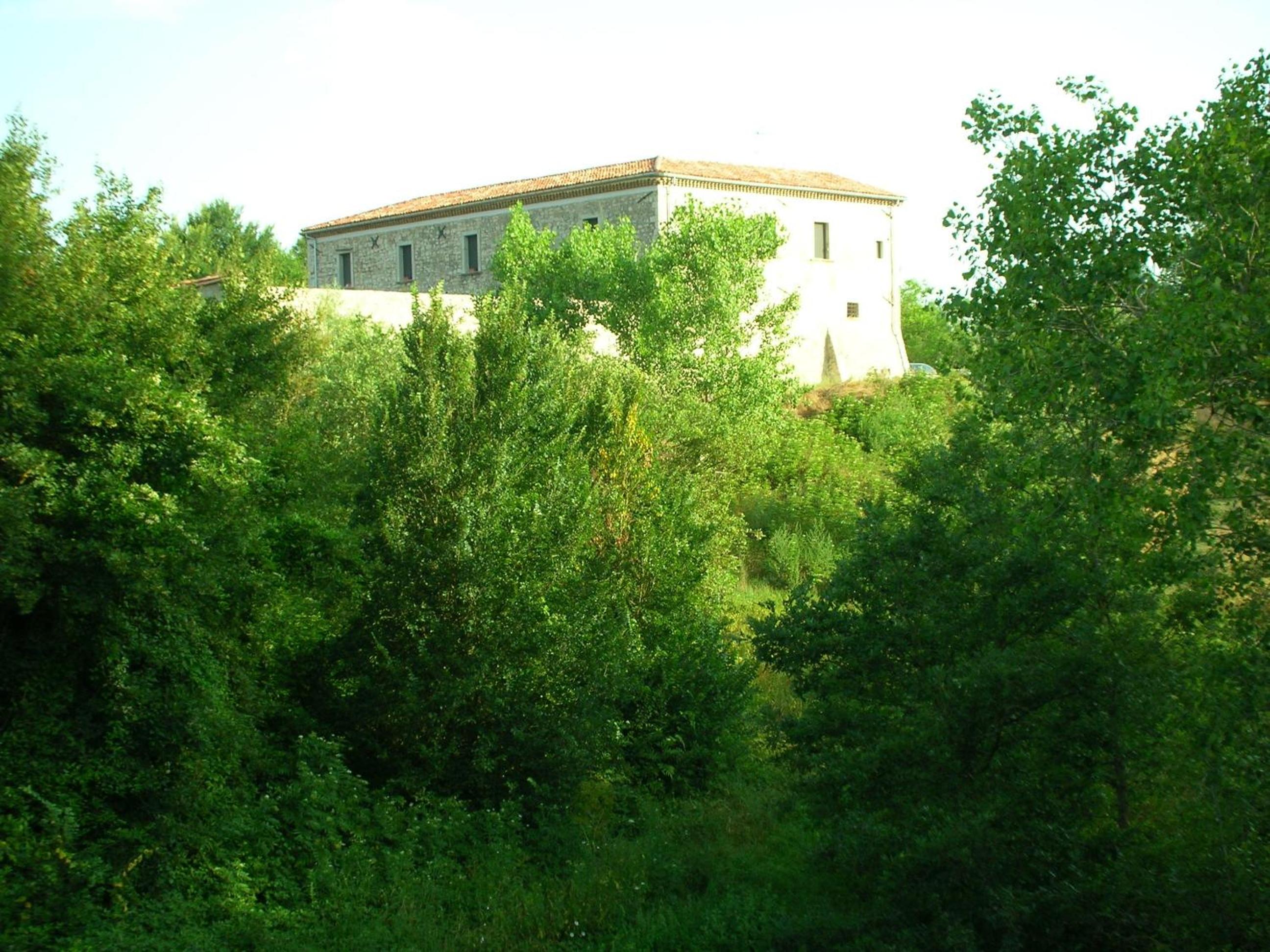 Photo 23