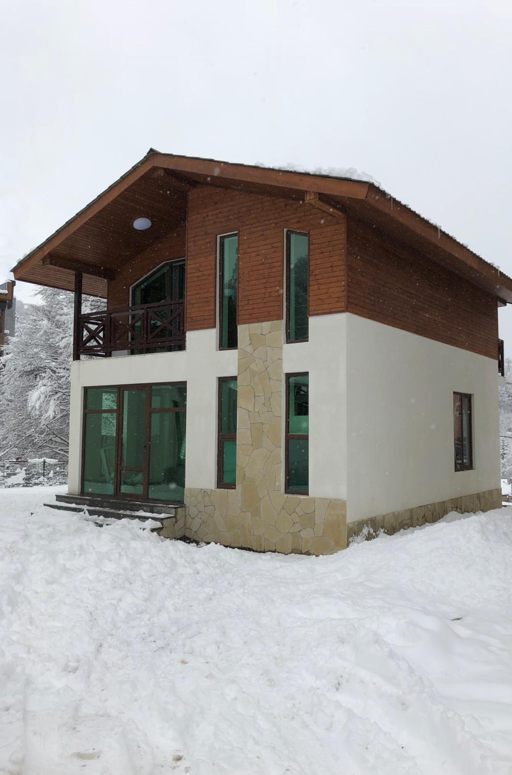 Cottage in Bakuriani view 3