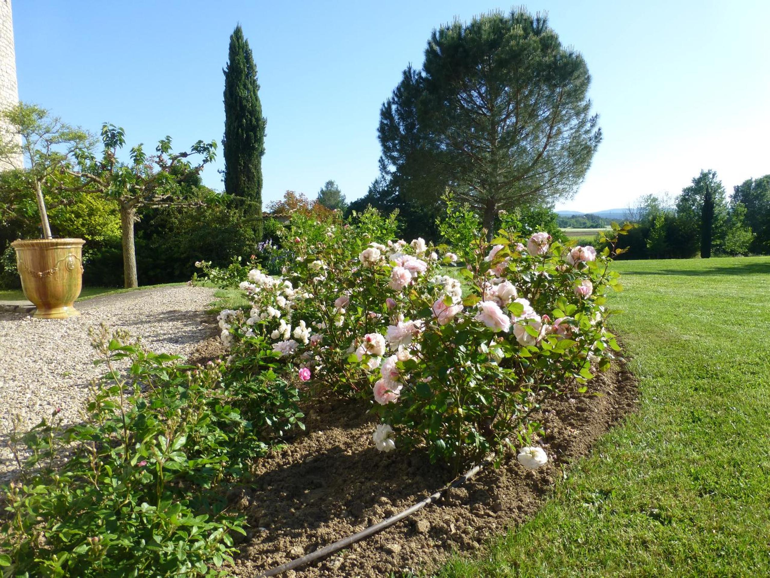 Photo 35