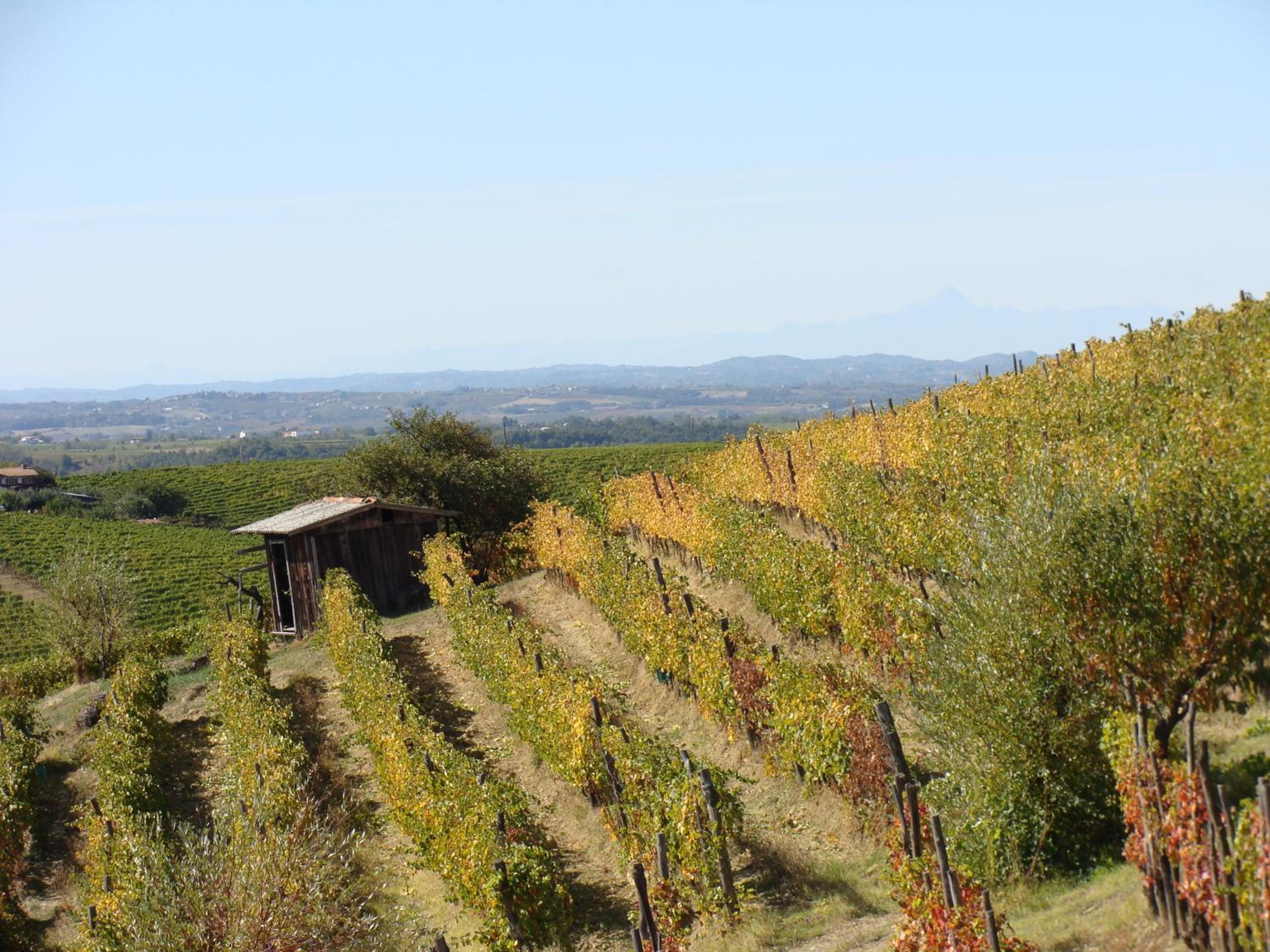 Agriturismo Cascina degli Ulivi