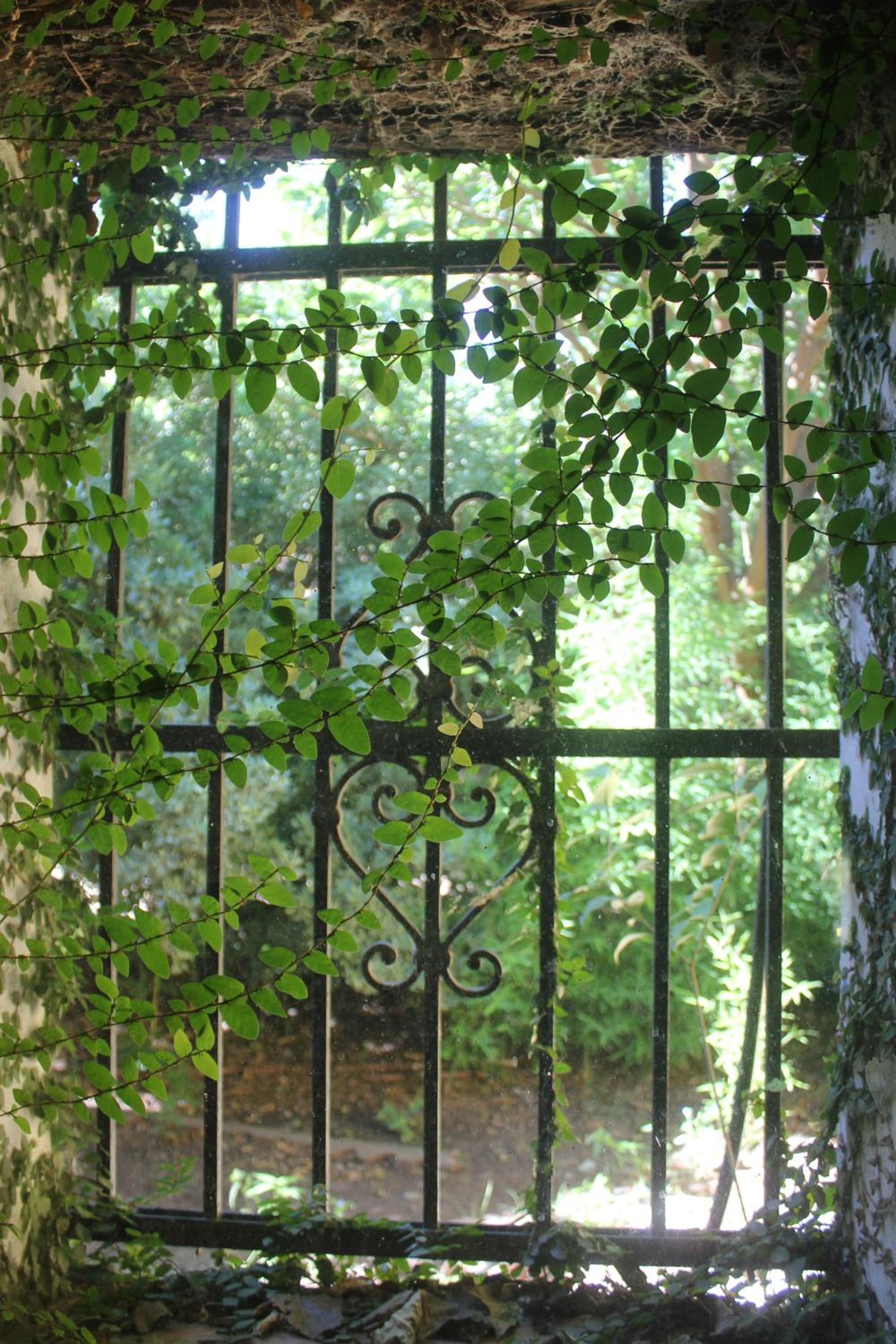 La Casa de Wanda