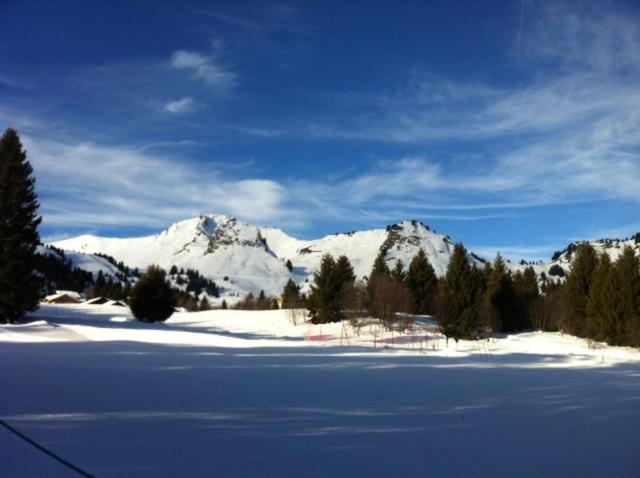 Terrasses Du Mont Blanc view 5
