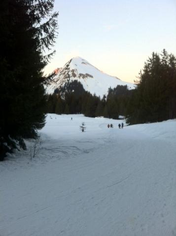 Terrasses Du Mont Blanc view 3