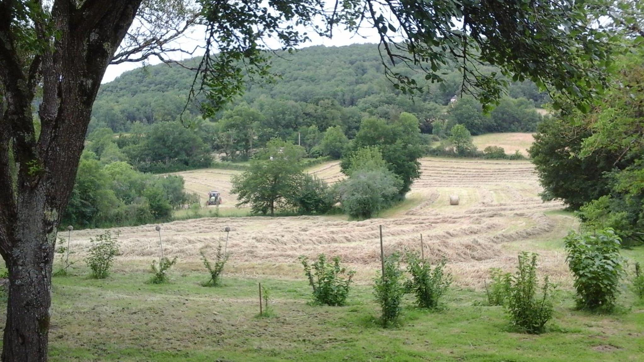 Photo 21