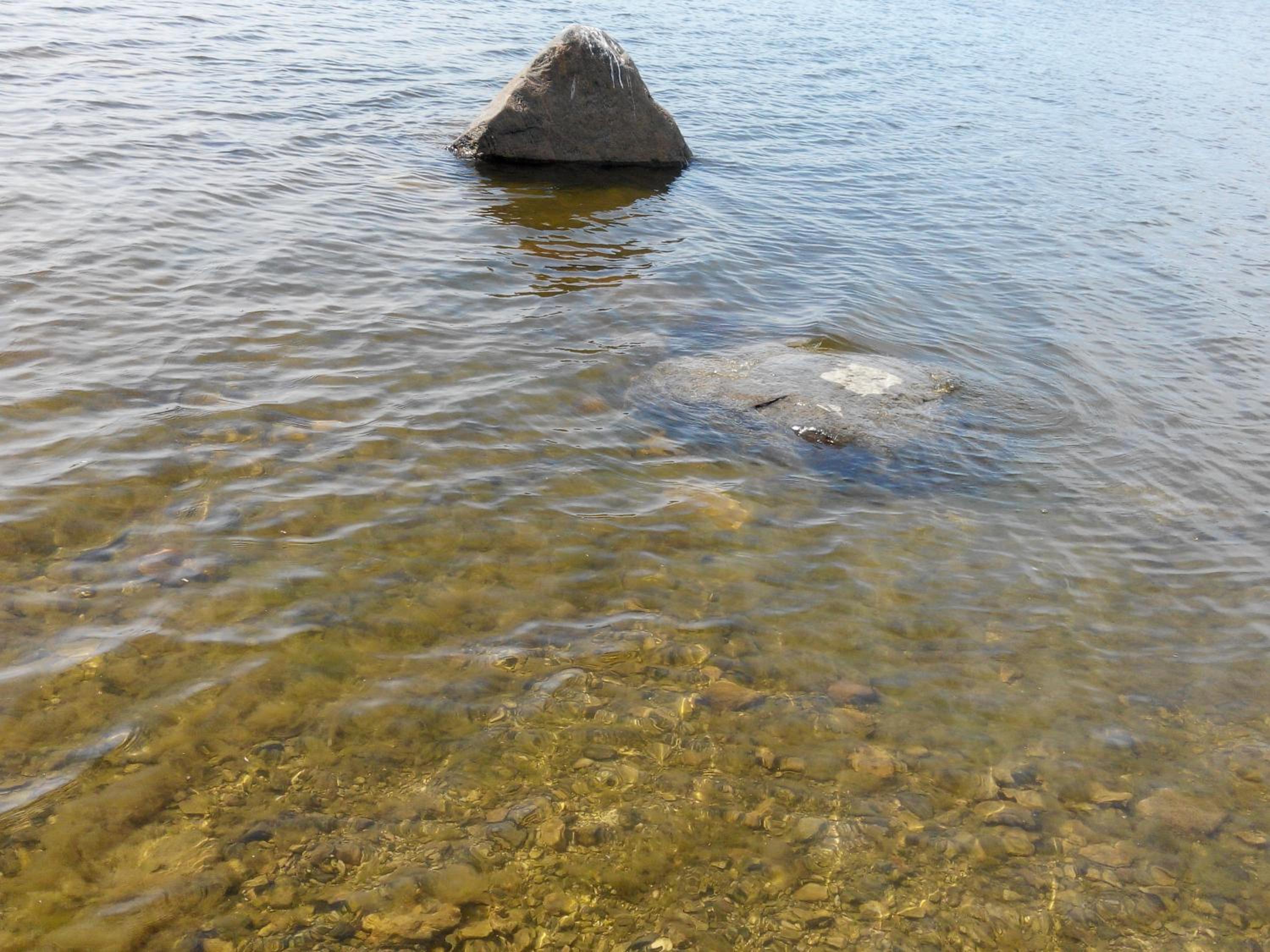 Paatsalu Camping