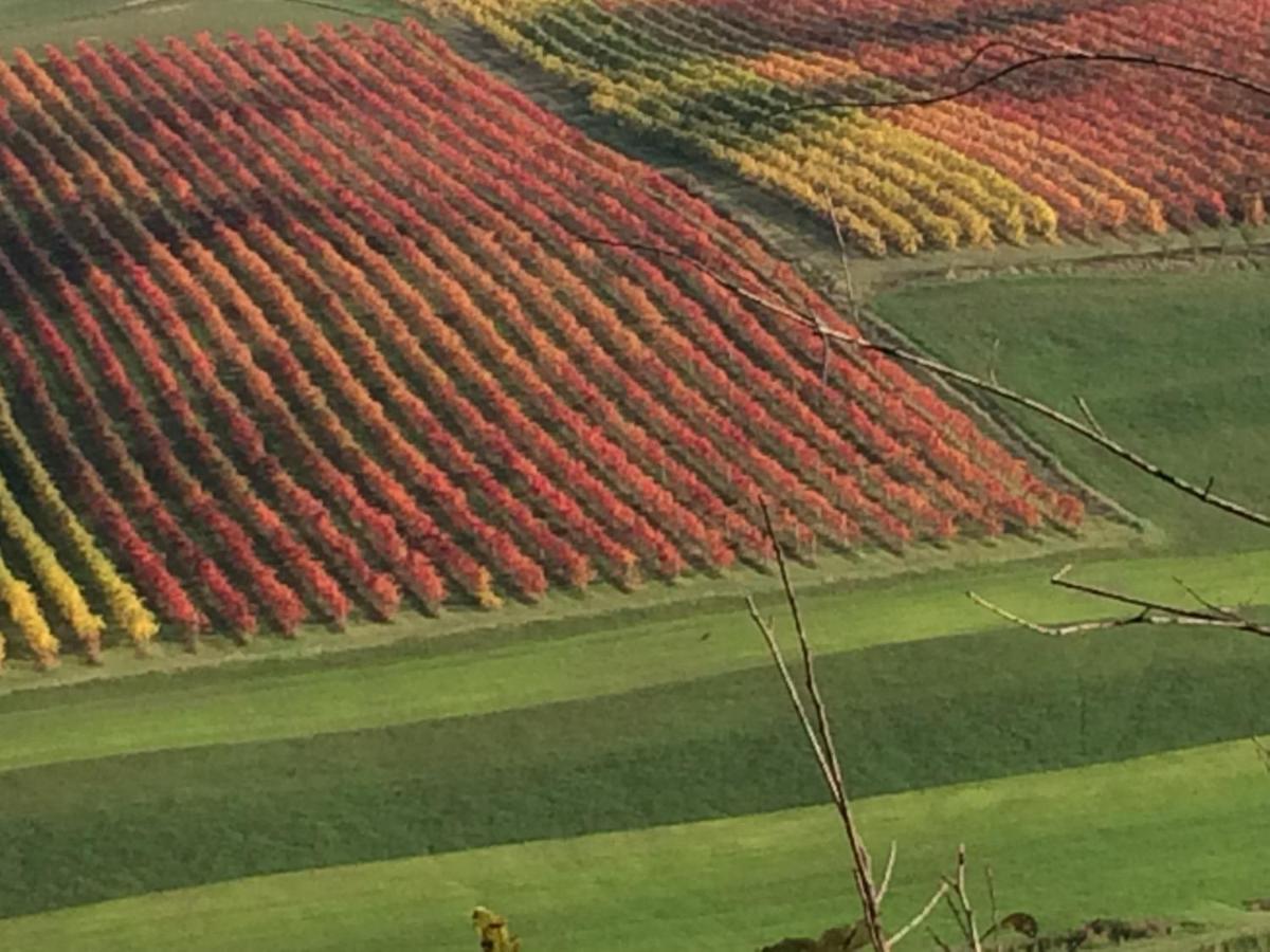 Il Giardino B&B