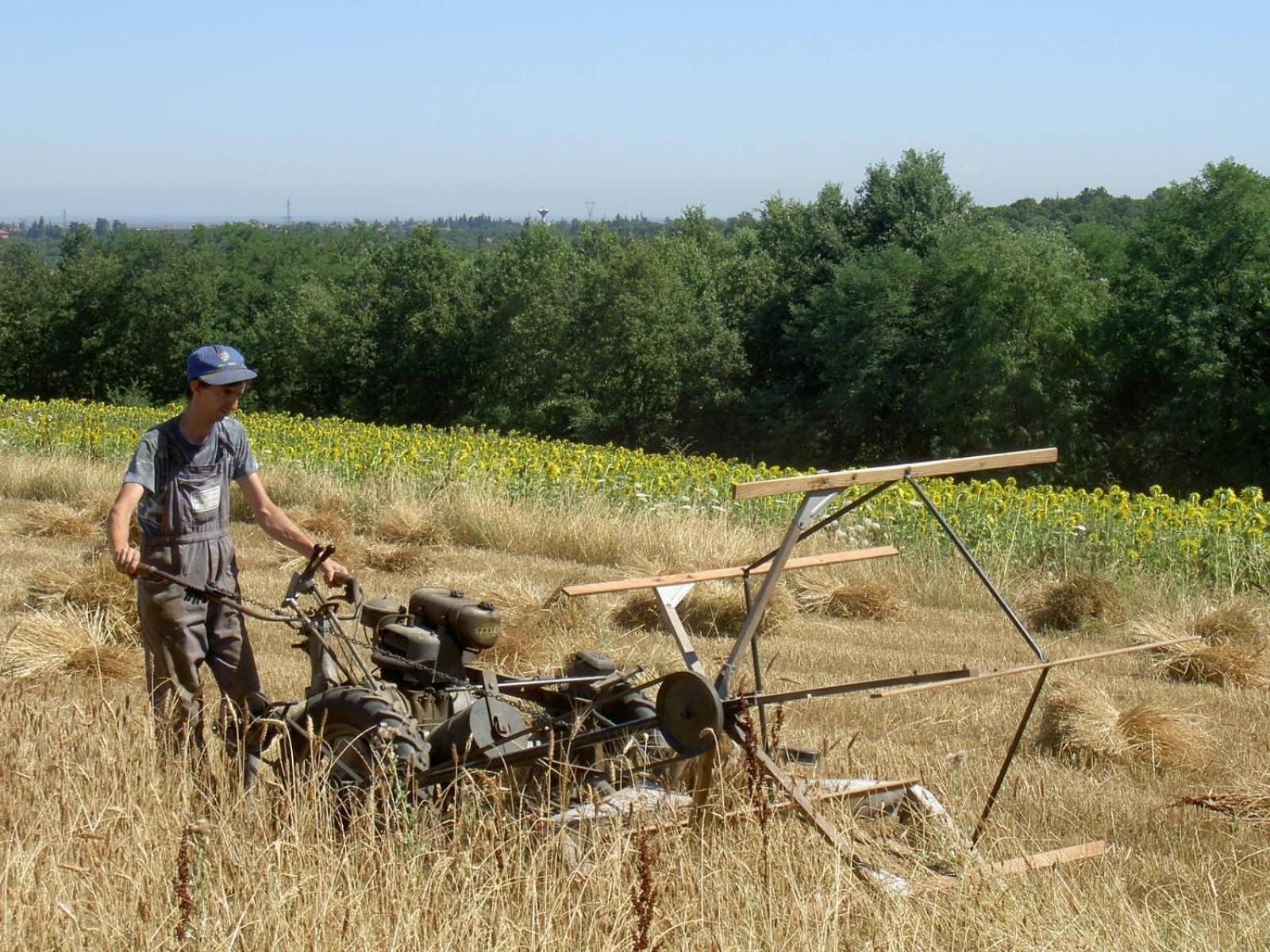 Agriturismo Cascina degli Ulivi