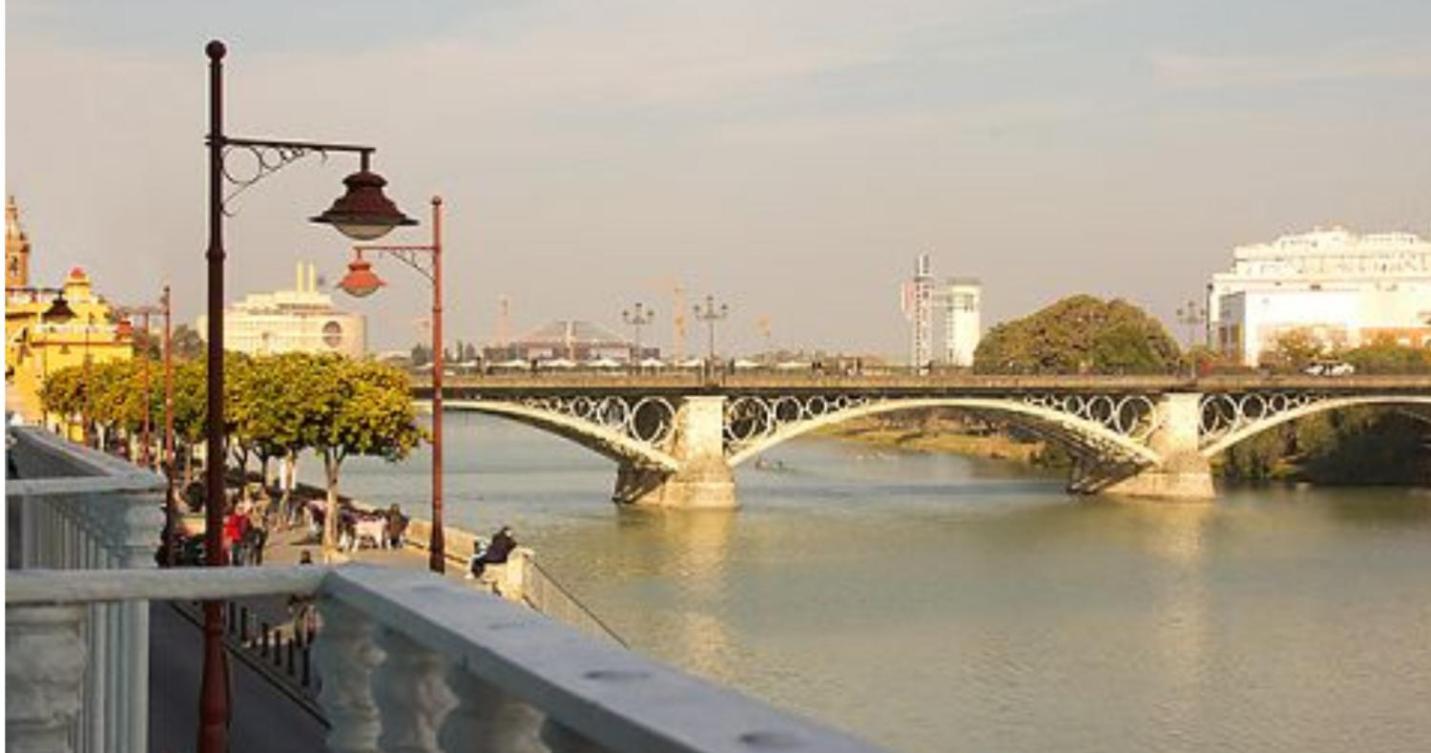 Triana view 5