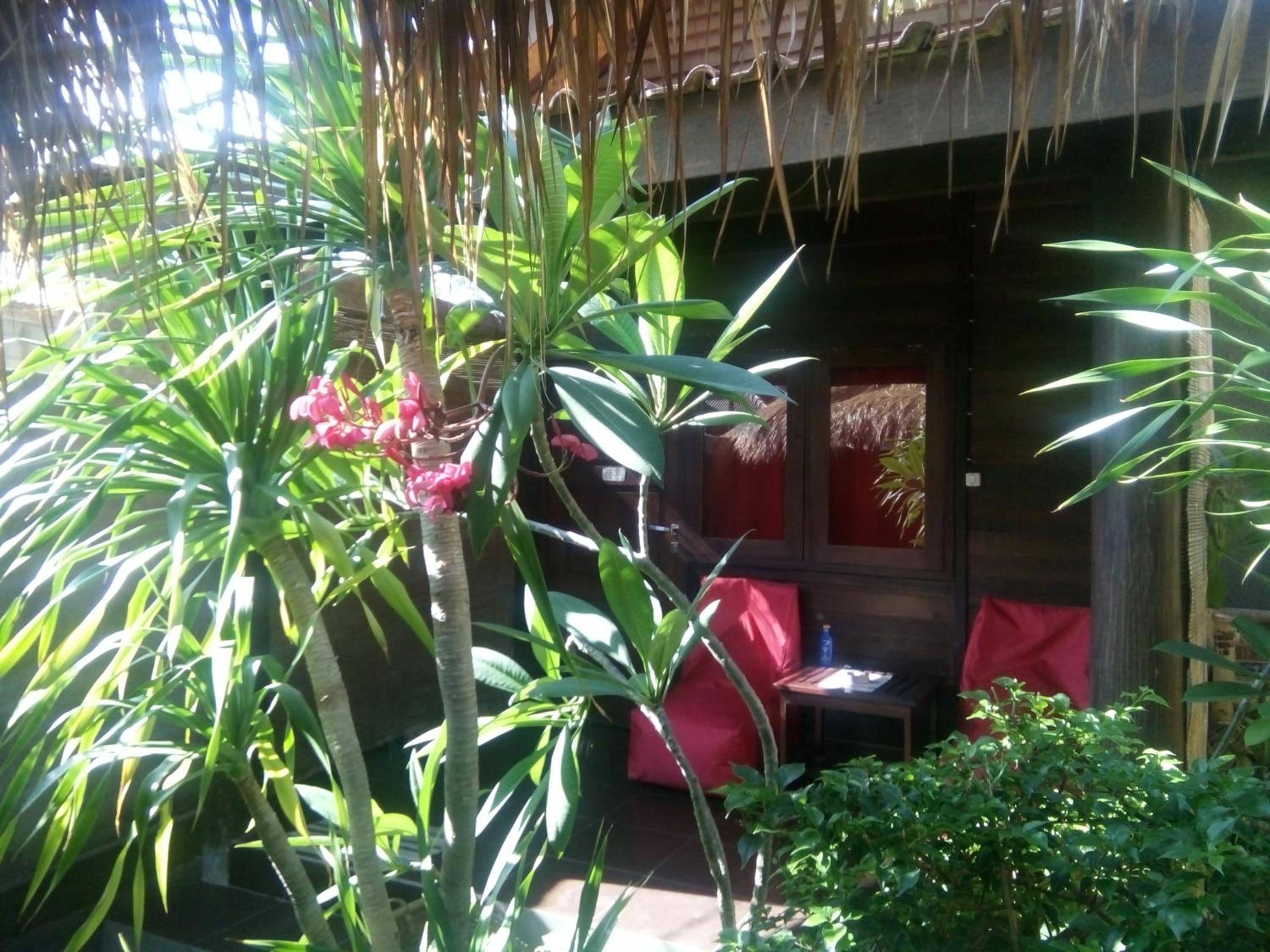 Alexyane Paradise Bungalow