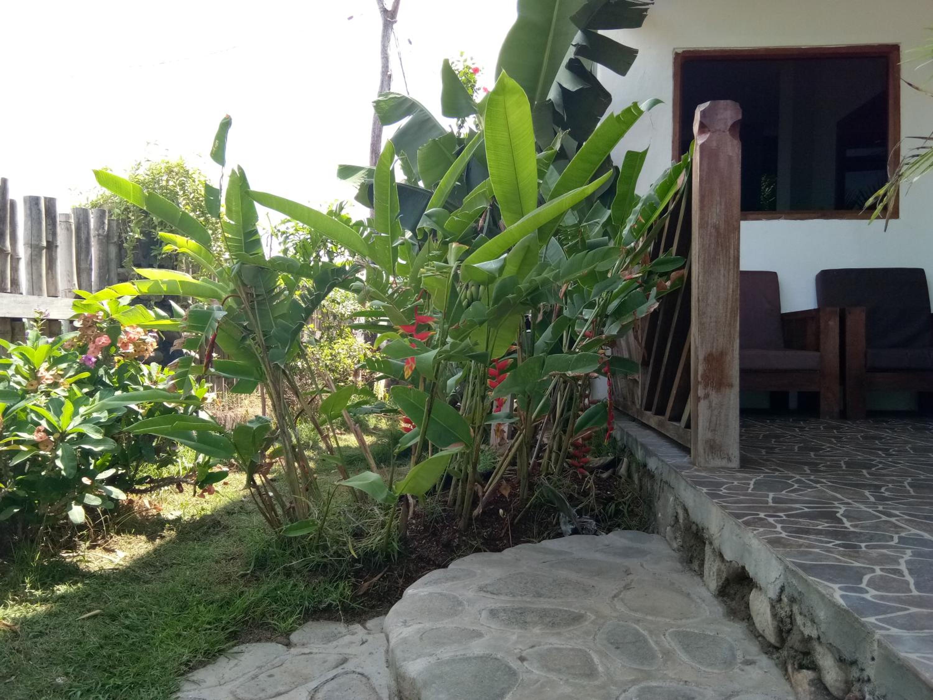 Photo 23