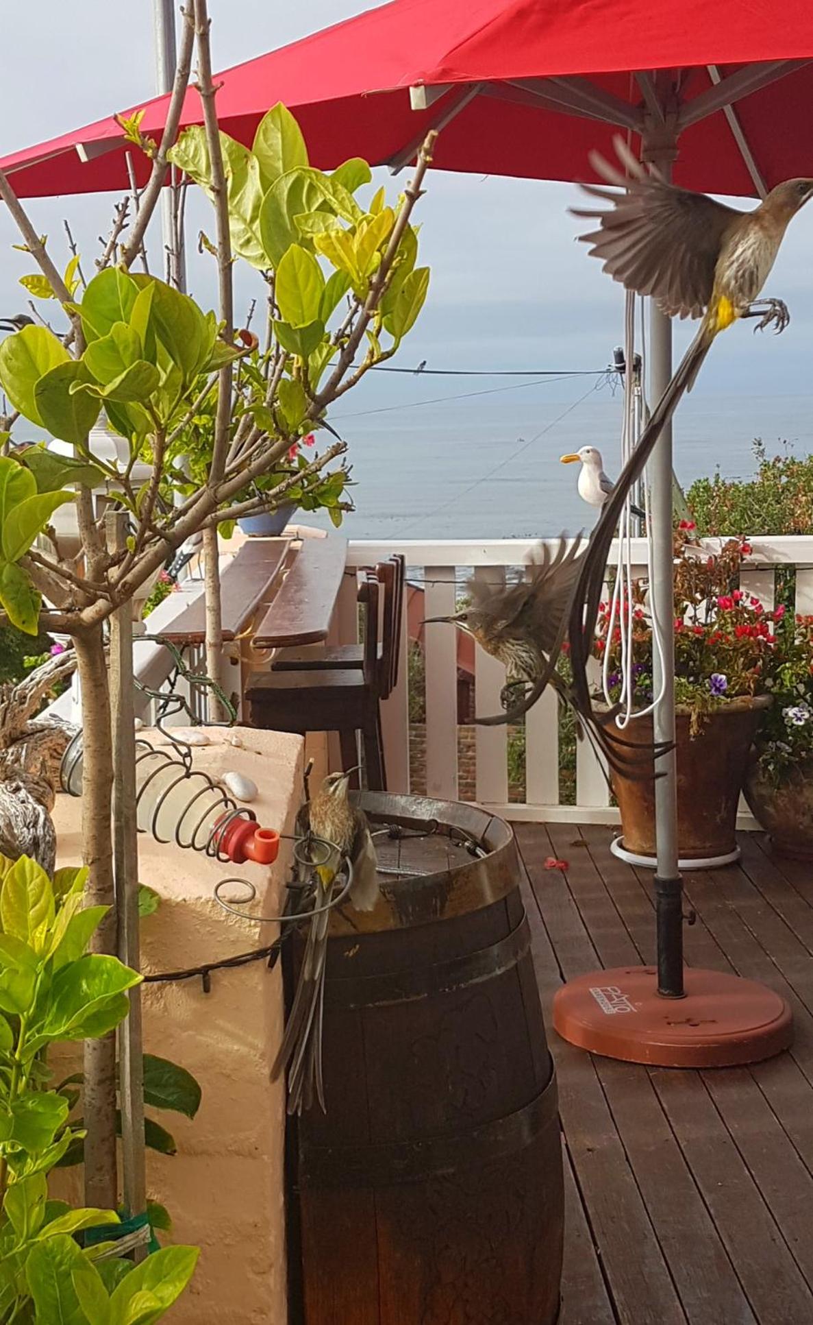 Belle Vue Guesthouse