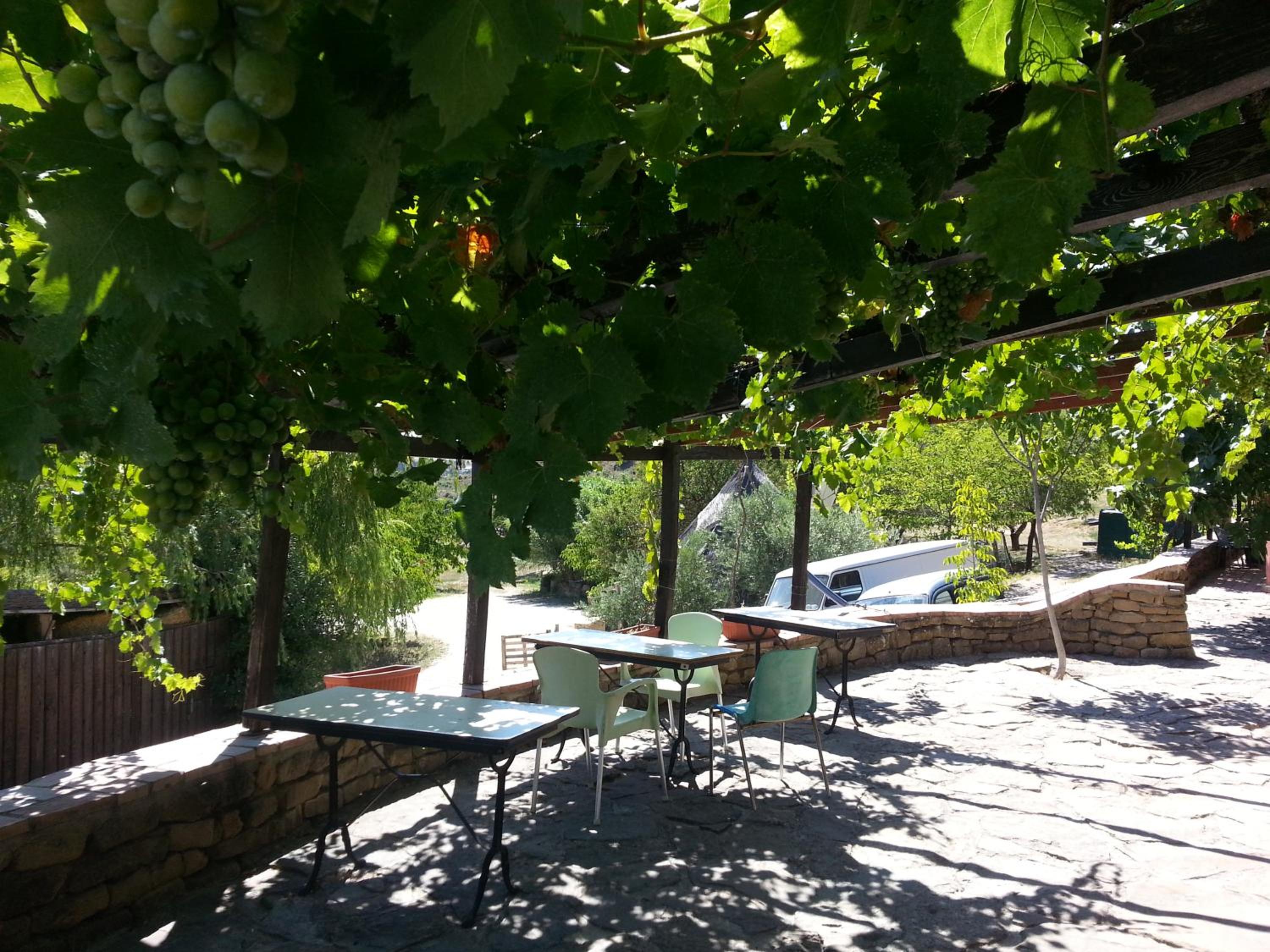 Hostal Rural Casa Pedro view 4