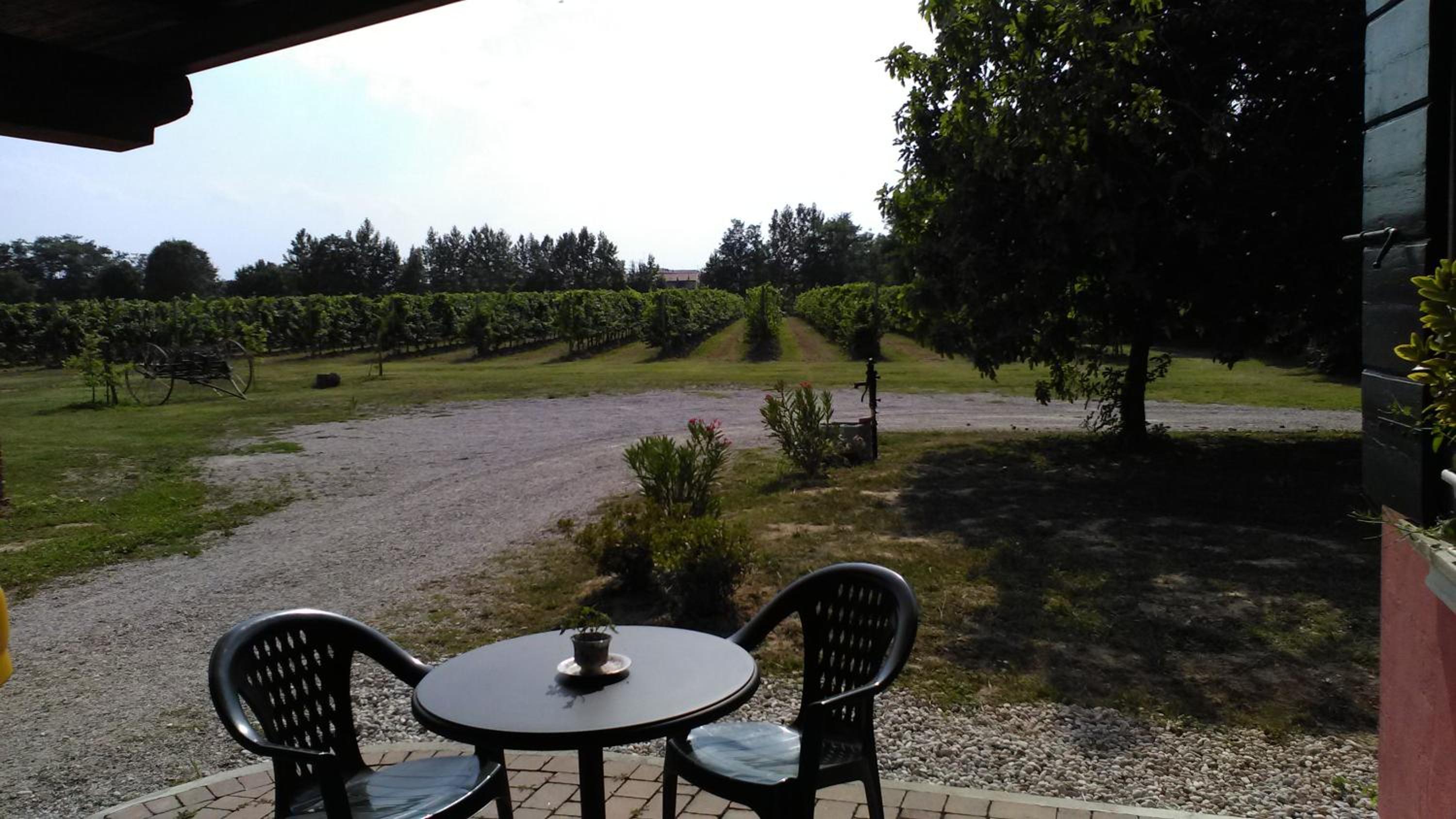 AGRITURISMO Barone Rosso