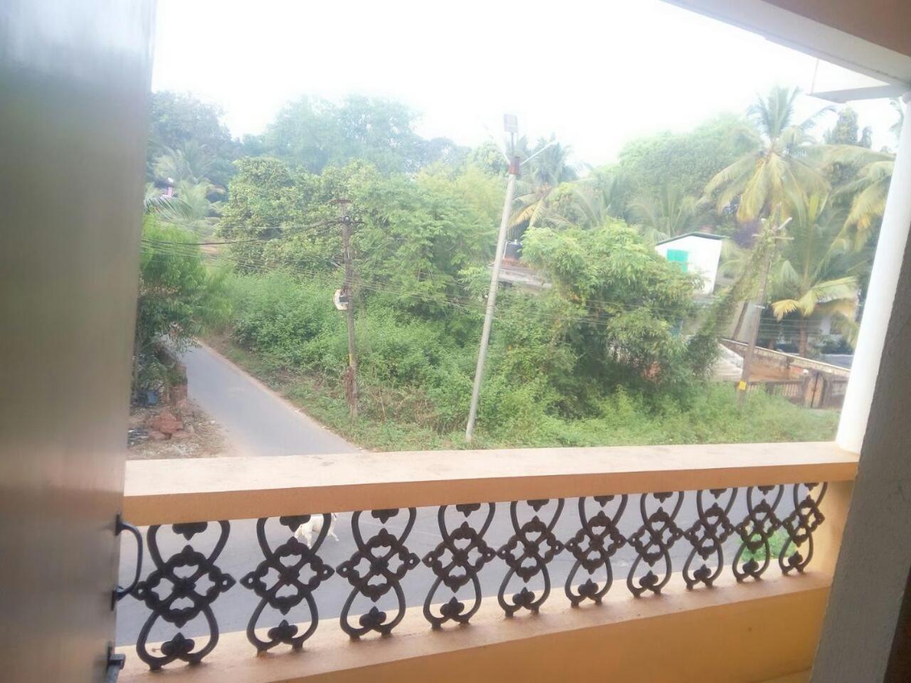 Cassi Studio with a view