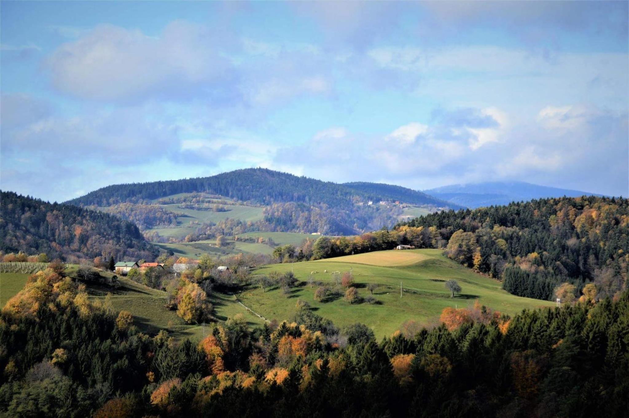 Photo 42
