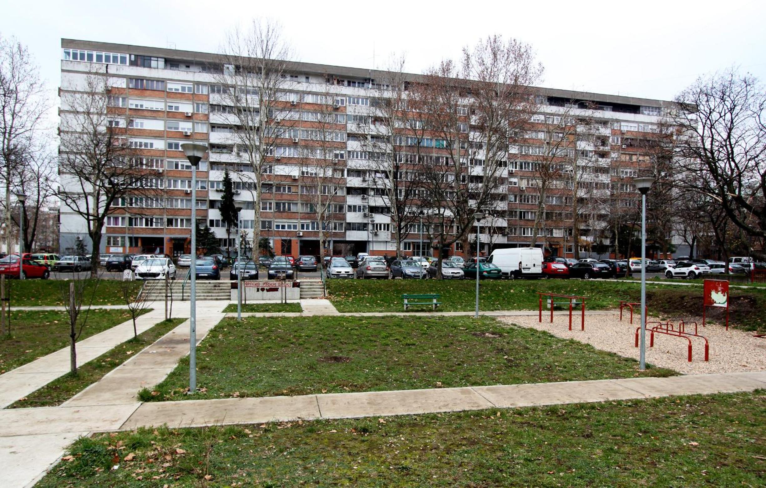 Photo 10