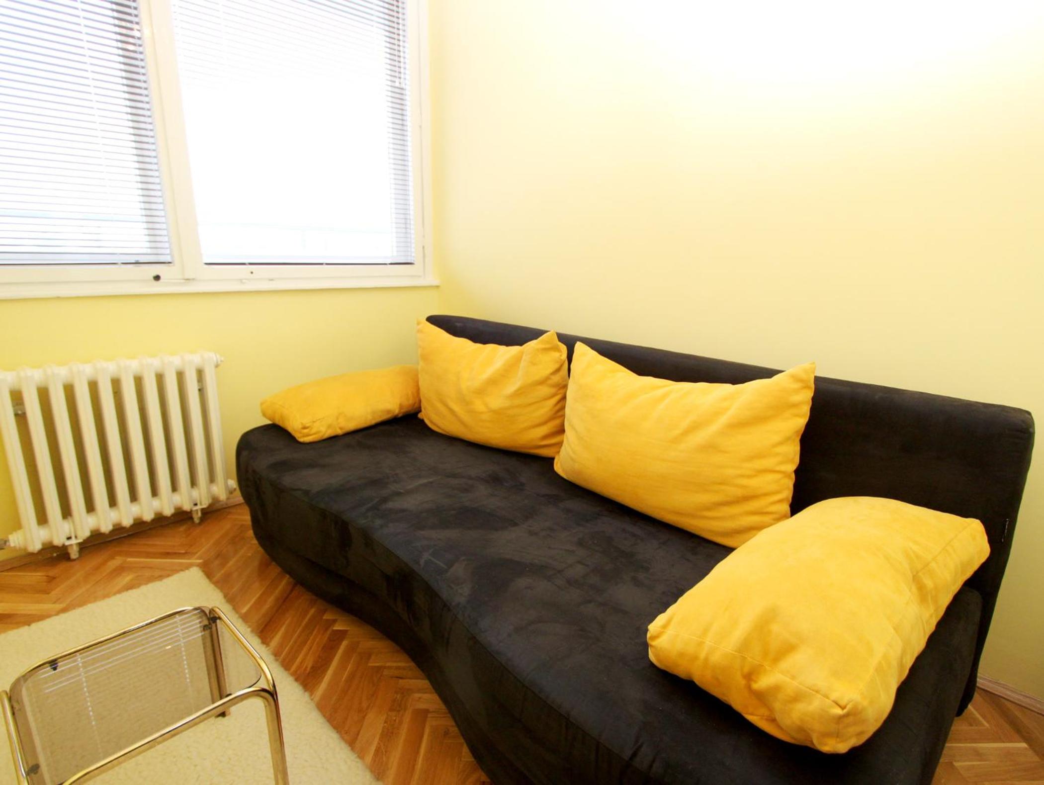 Penthouse Novi Beograd view 5