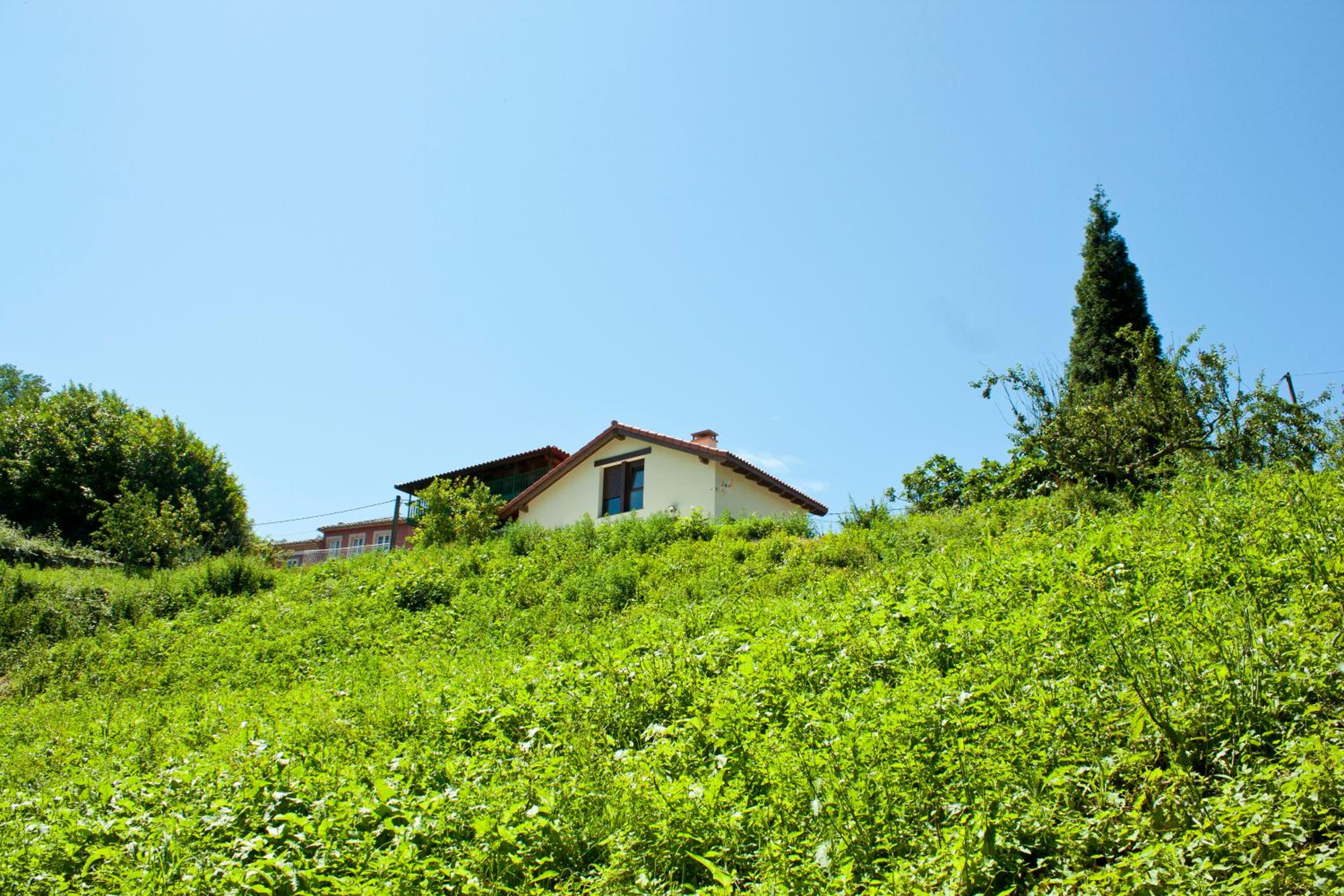La Panera del Carbain view 3