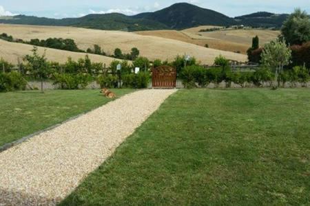 Podere San Luigi - Pet Friendly photo 2