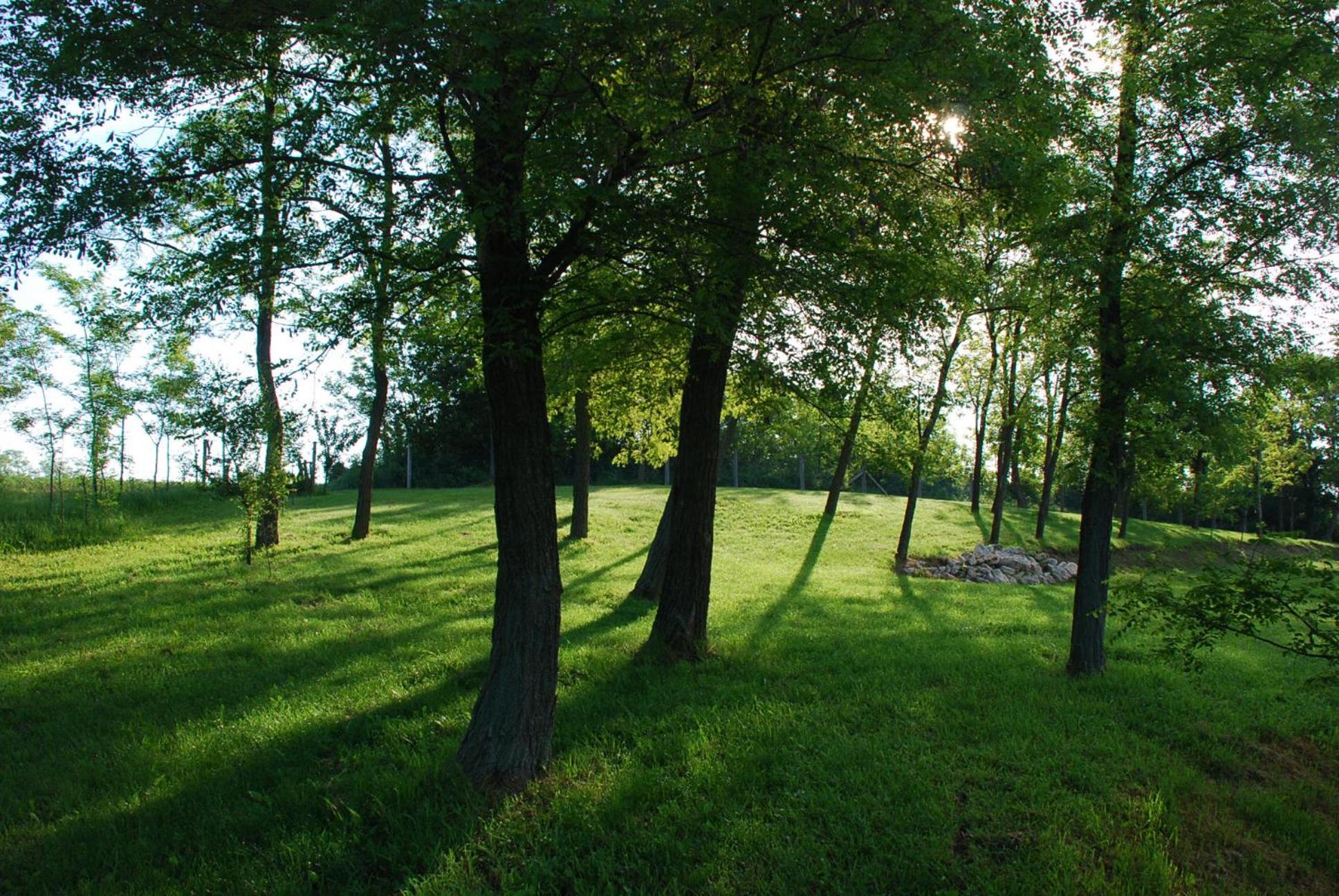 Békesség Szigete, Klasszik Apartman view 5