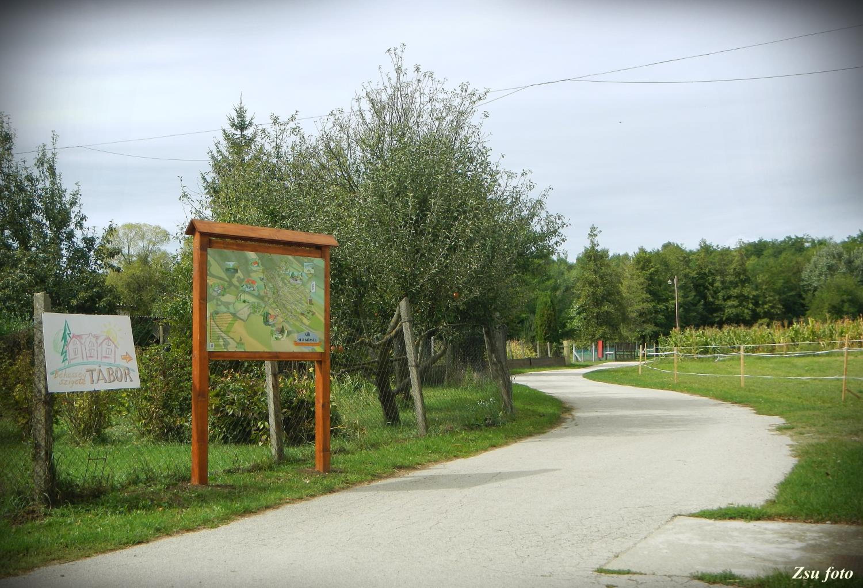 Photo 9