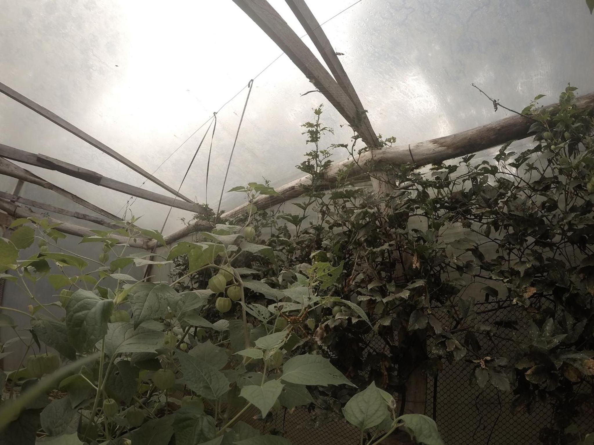 Yasí Yateré Reserva Agroecológica