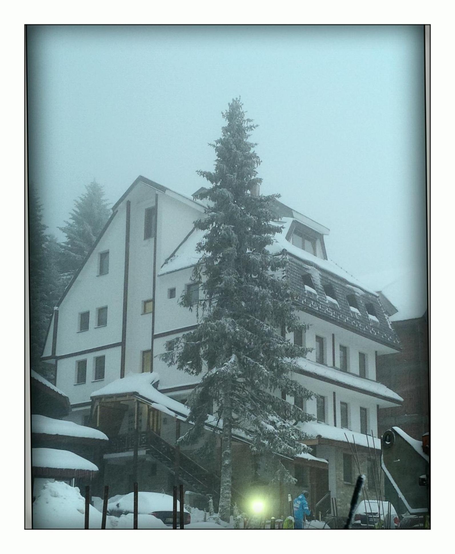 Photo 21