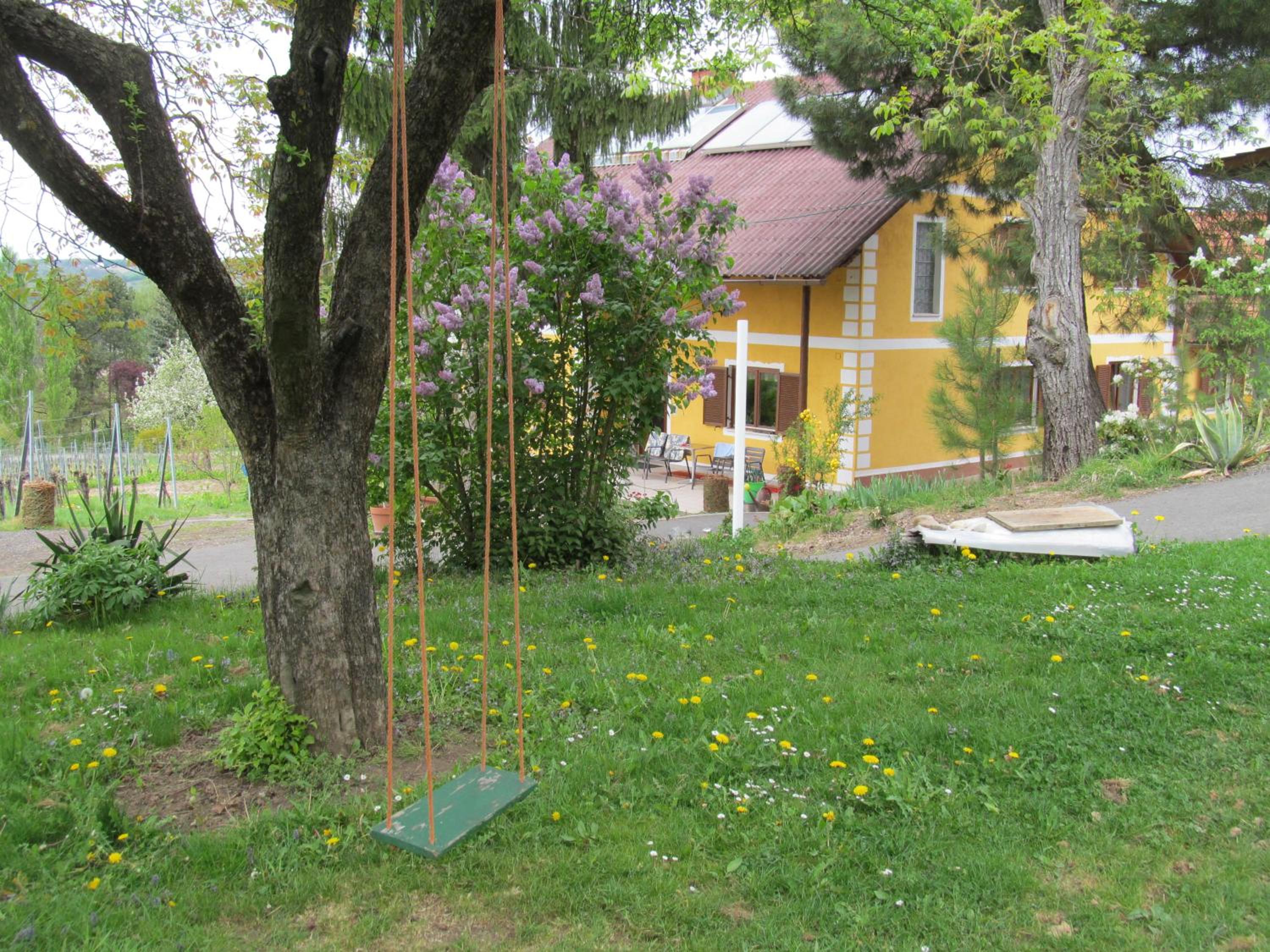 Appartement Weingut Schoberhof