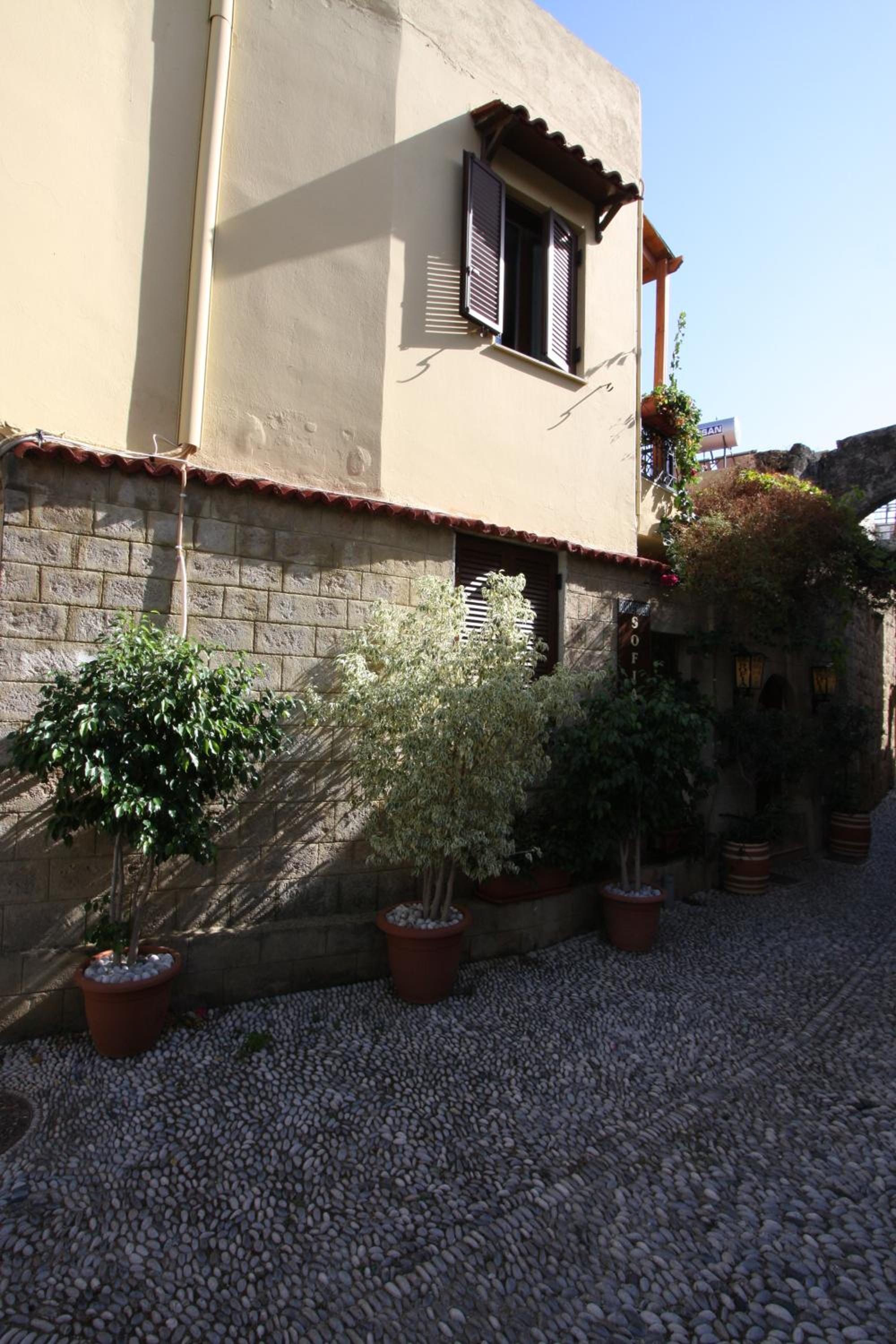 Photo 11