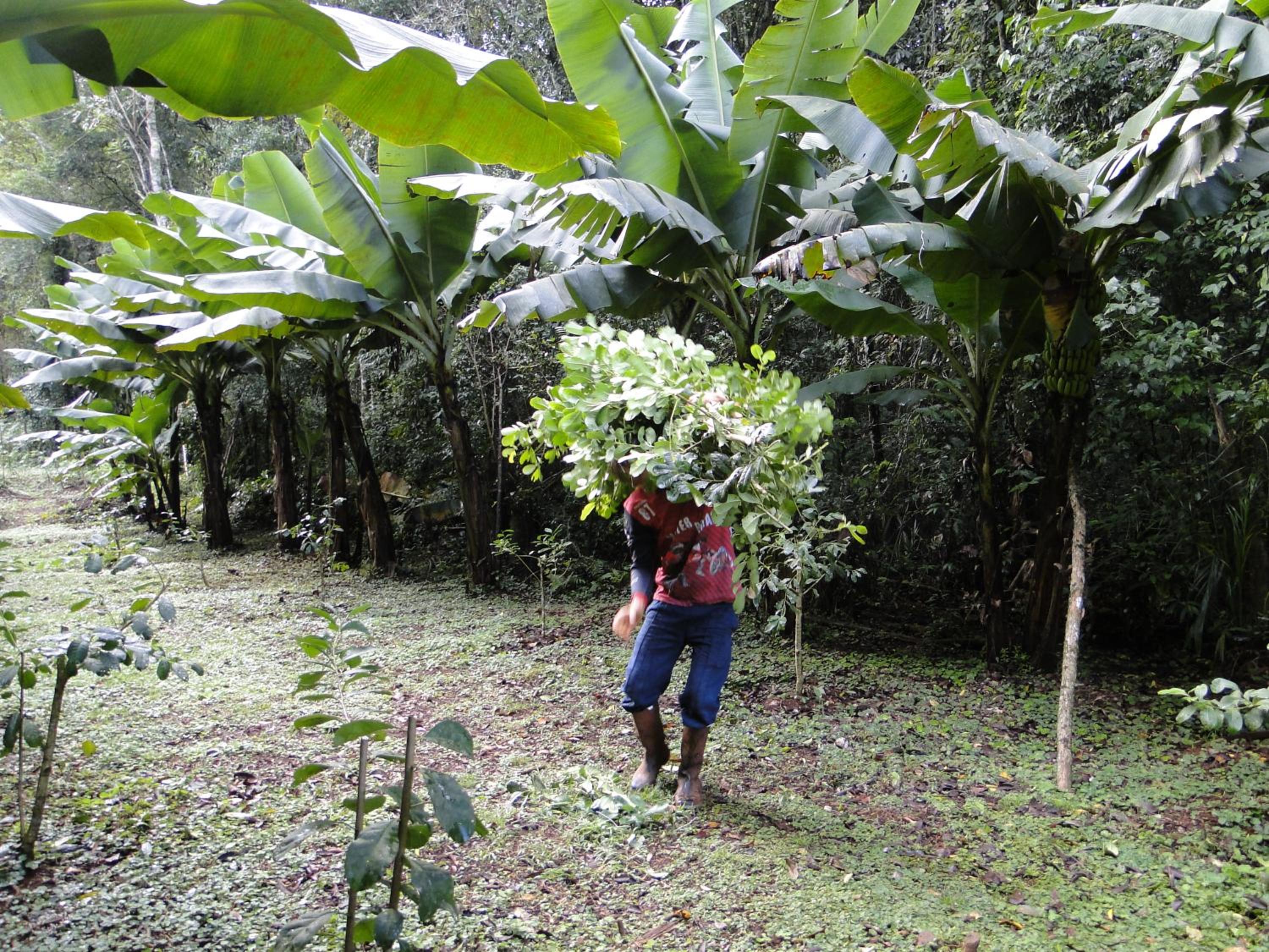 Yasí Yateré Reserva Agroecológica