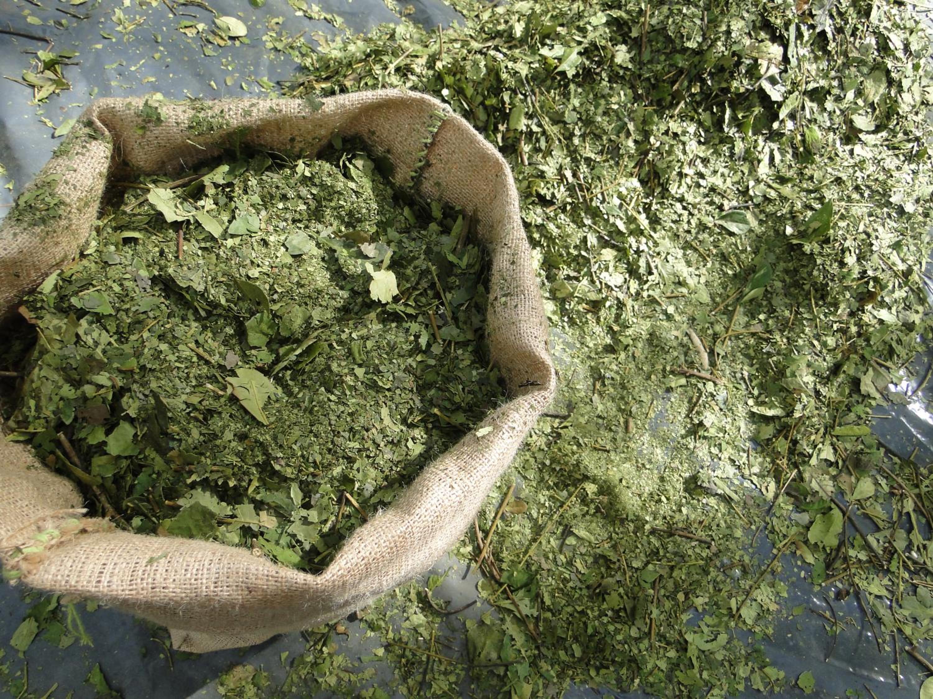 Yasí Yateré Reserva Agroecológica