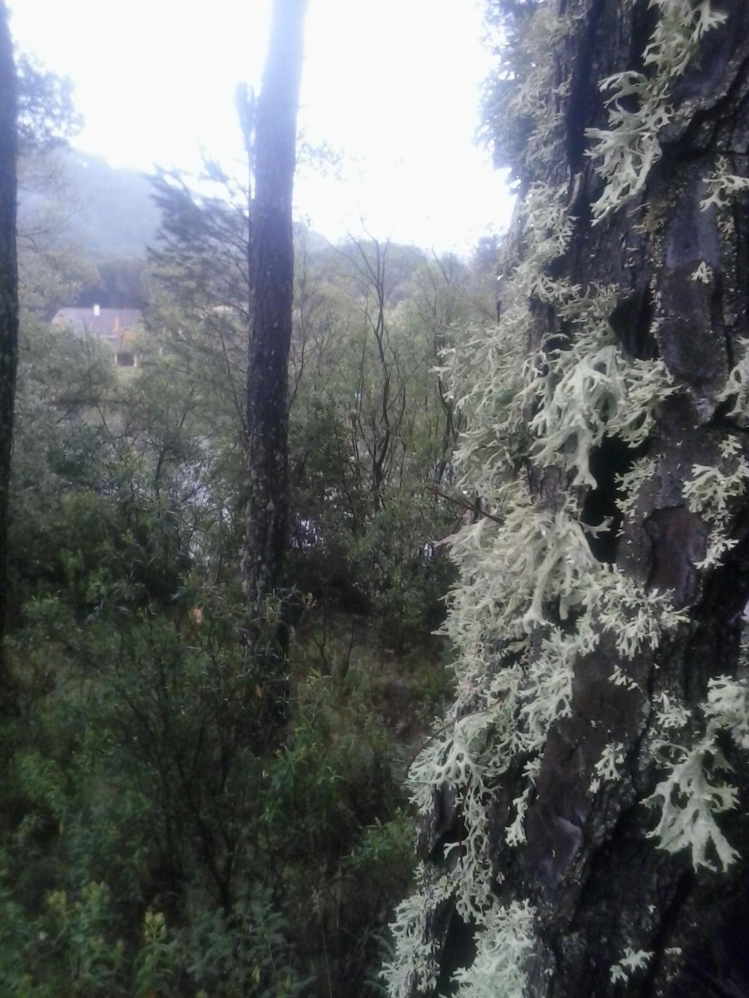 Photo 37