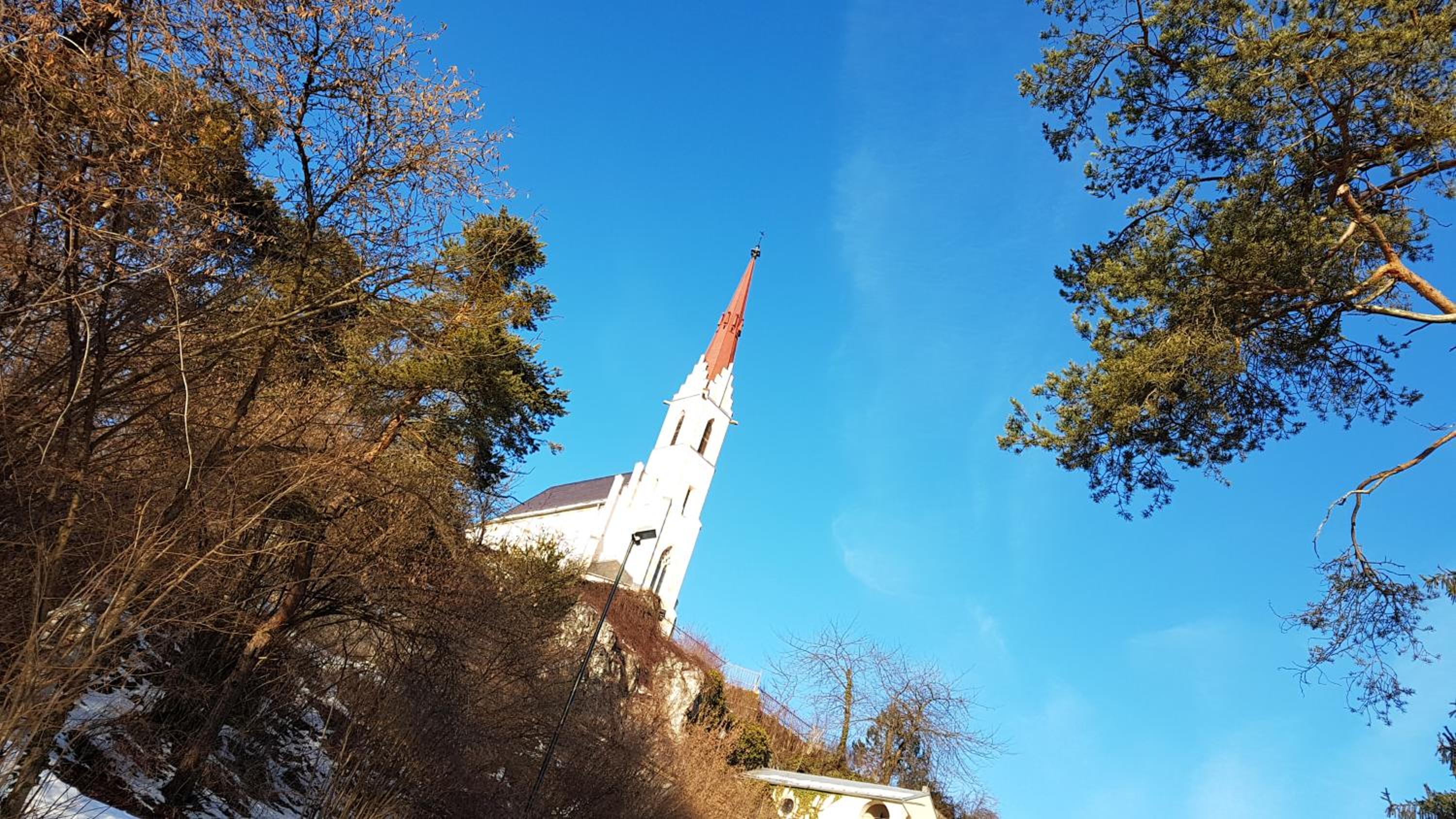 Photo 41