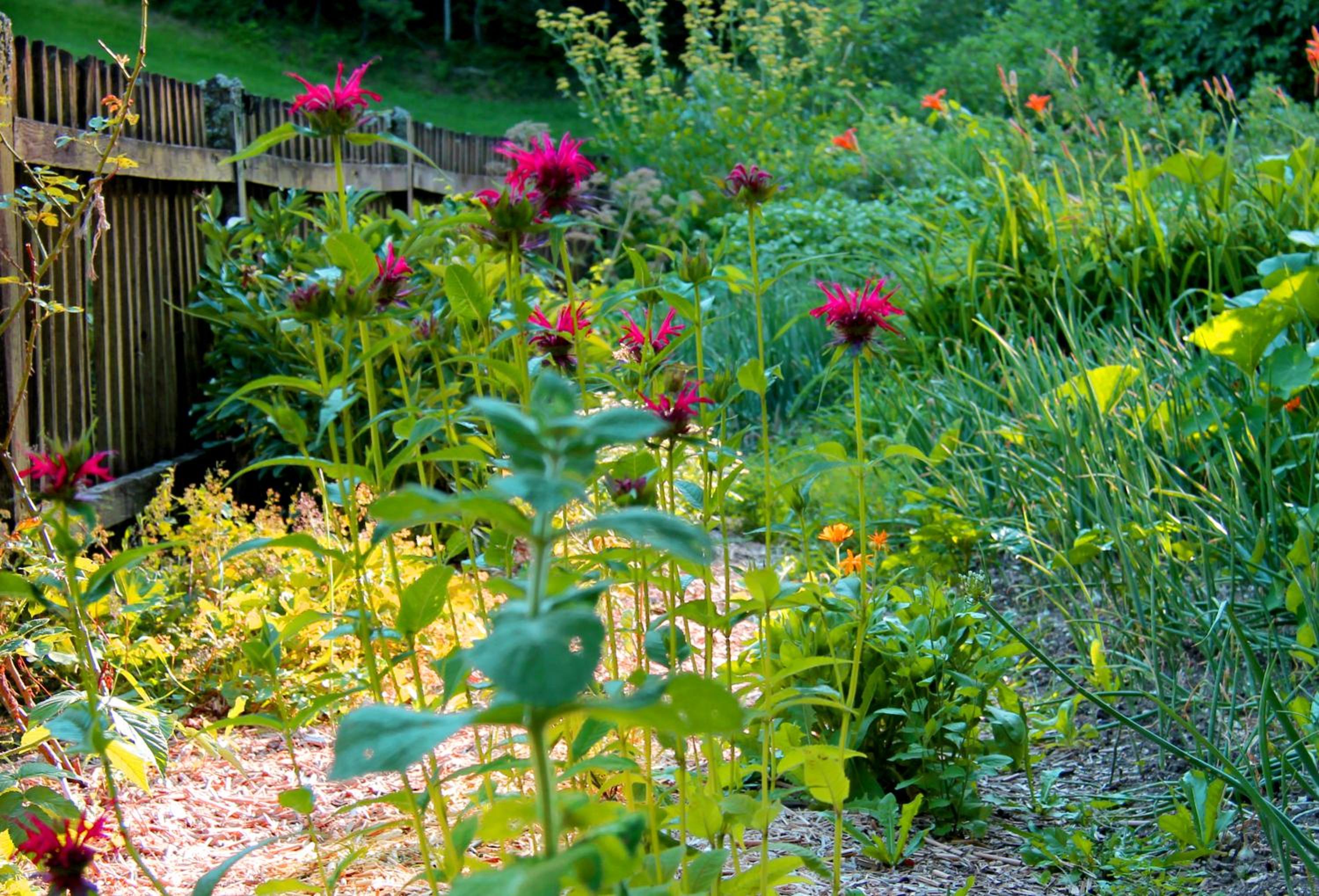 Naturoase Mühlviertel