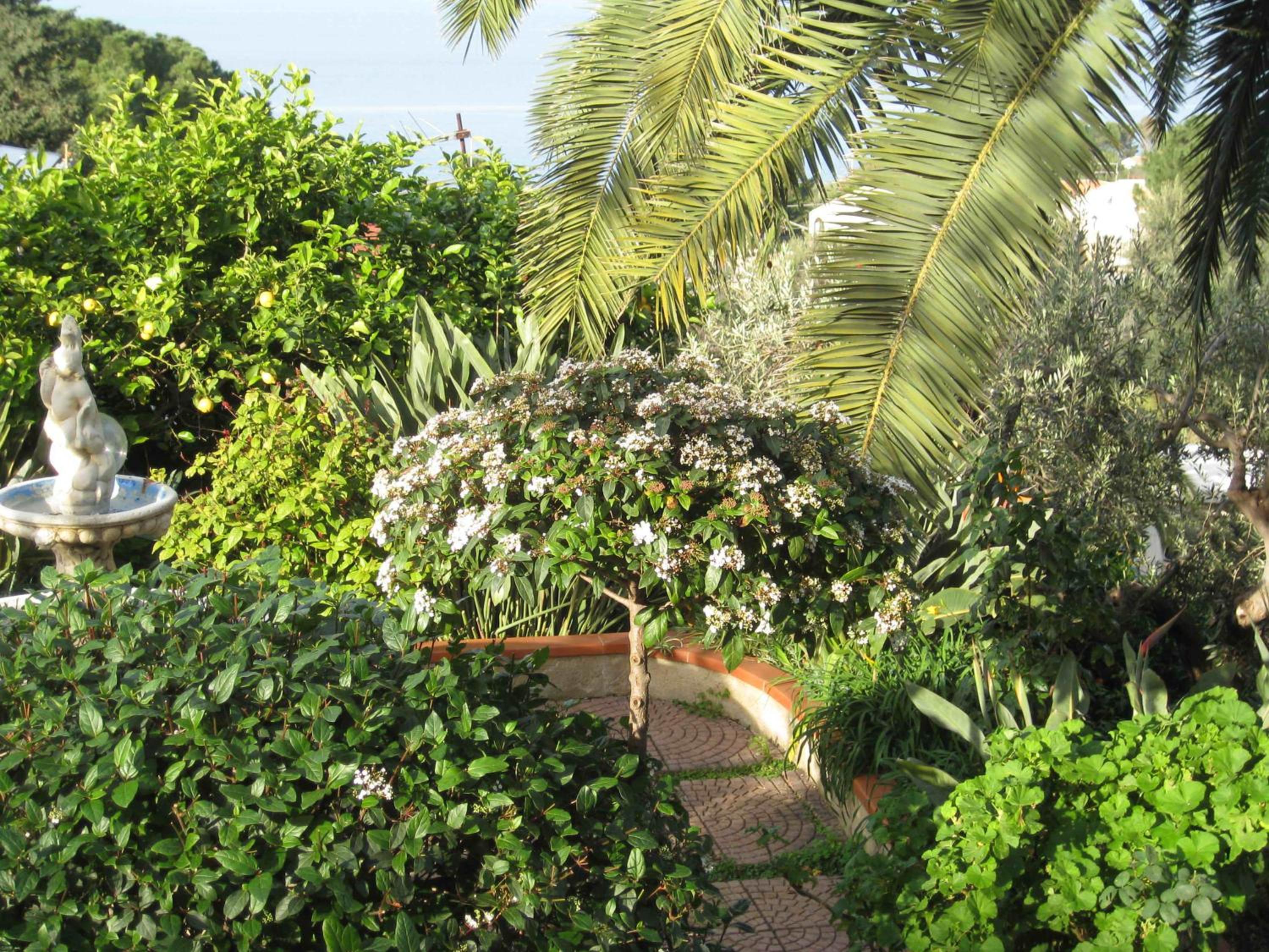 Photo 32