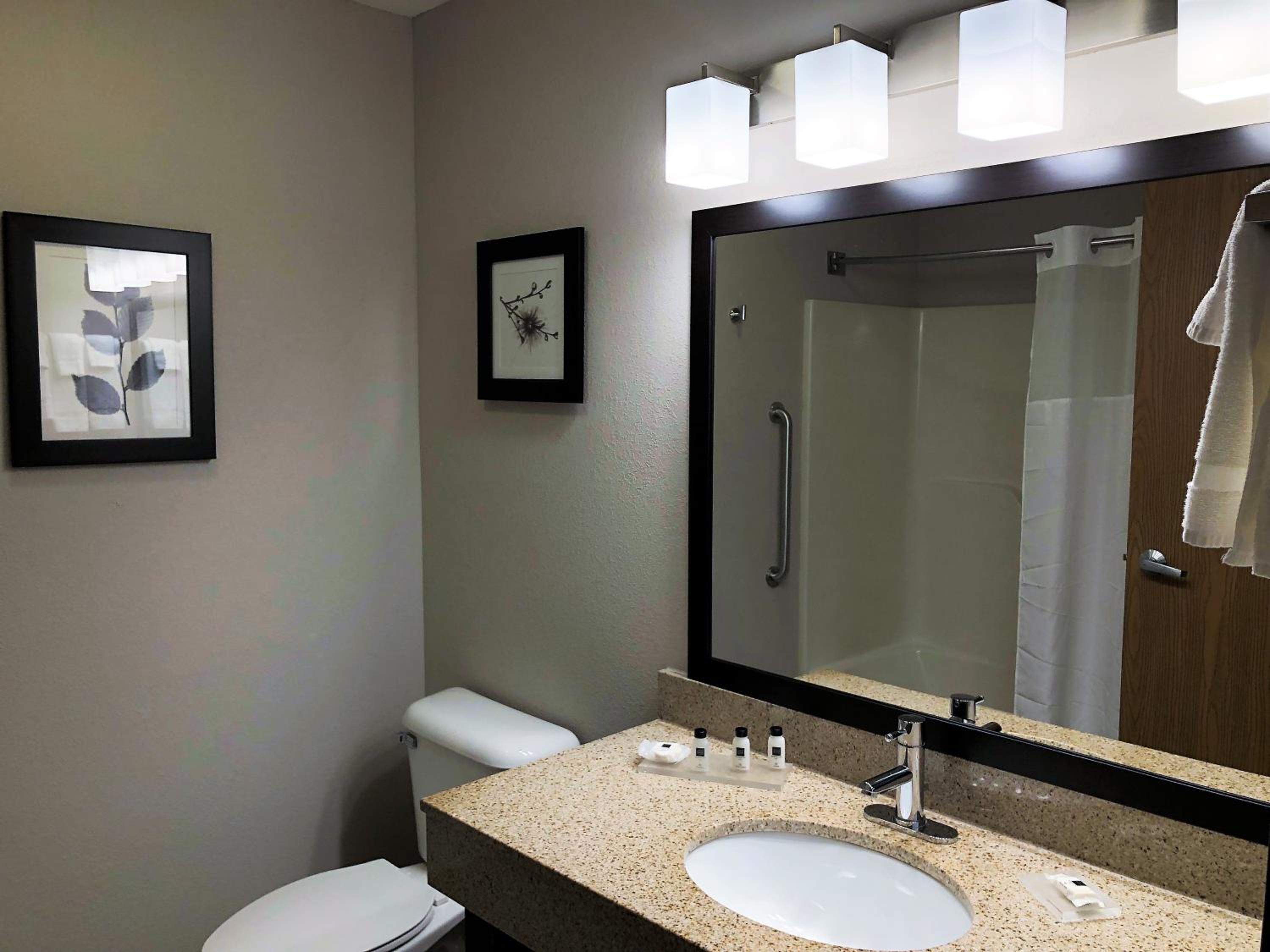 Country Inn  Suites by Radisson, Mt Pleasant-Racine West, WI - Property Image 60