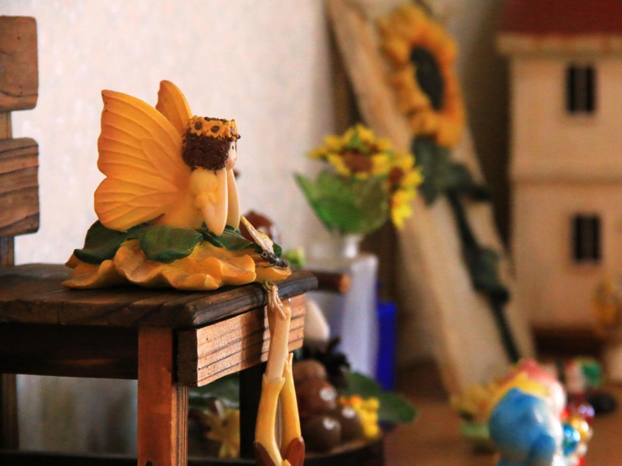 Photo 45