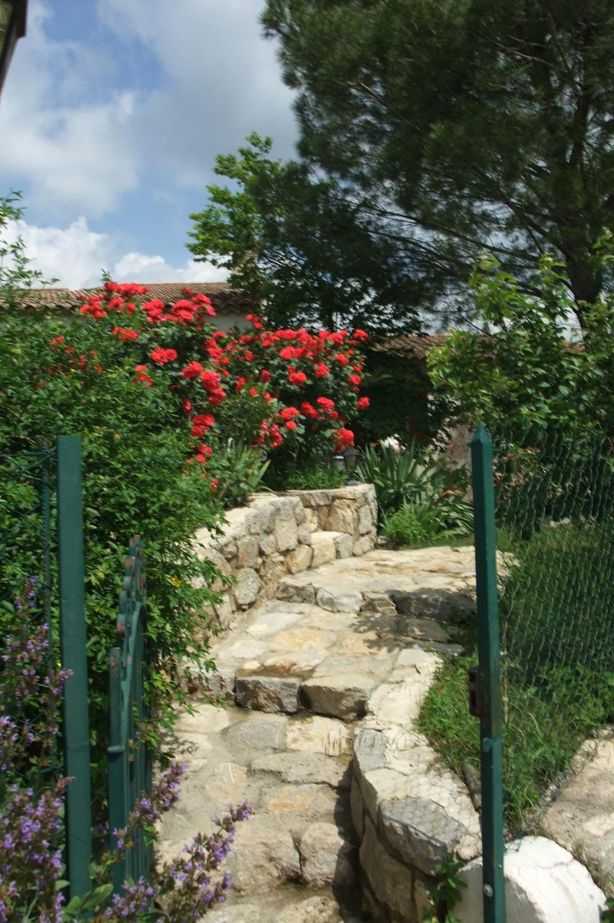 Photo 18
