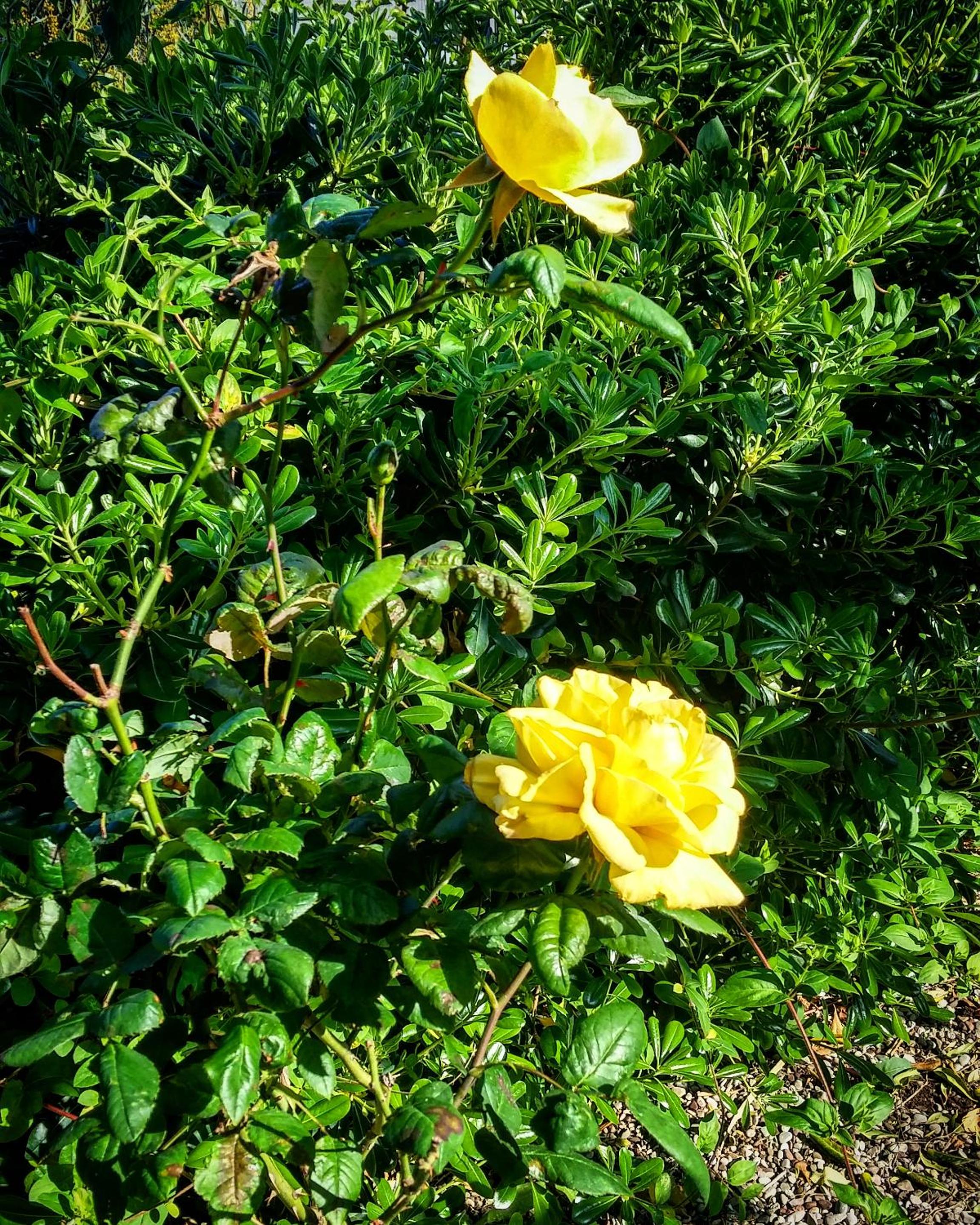 Photo 48
