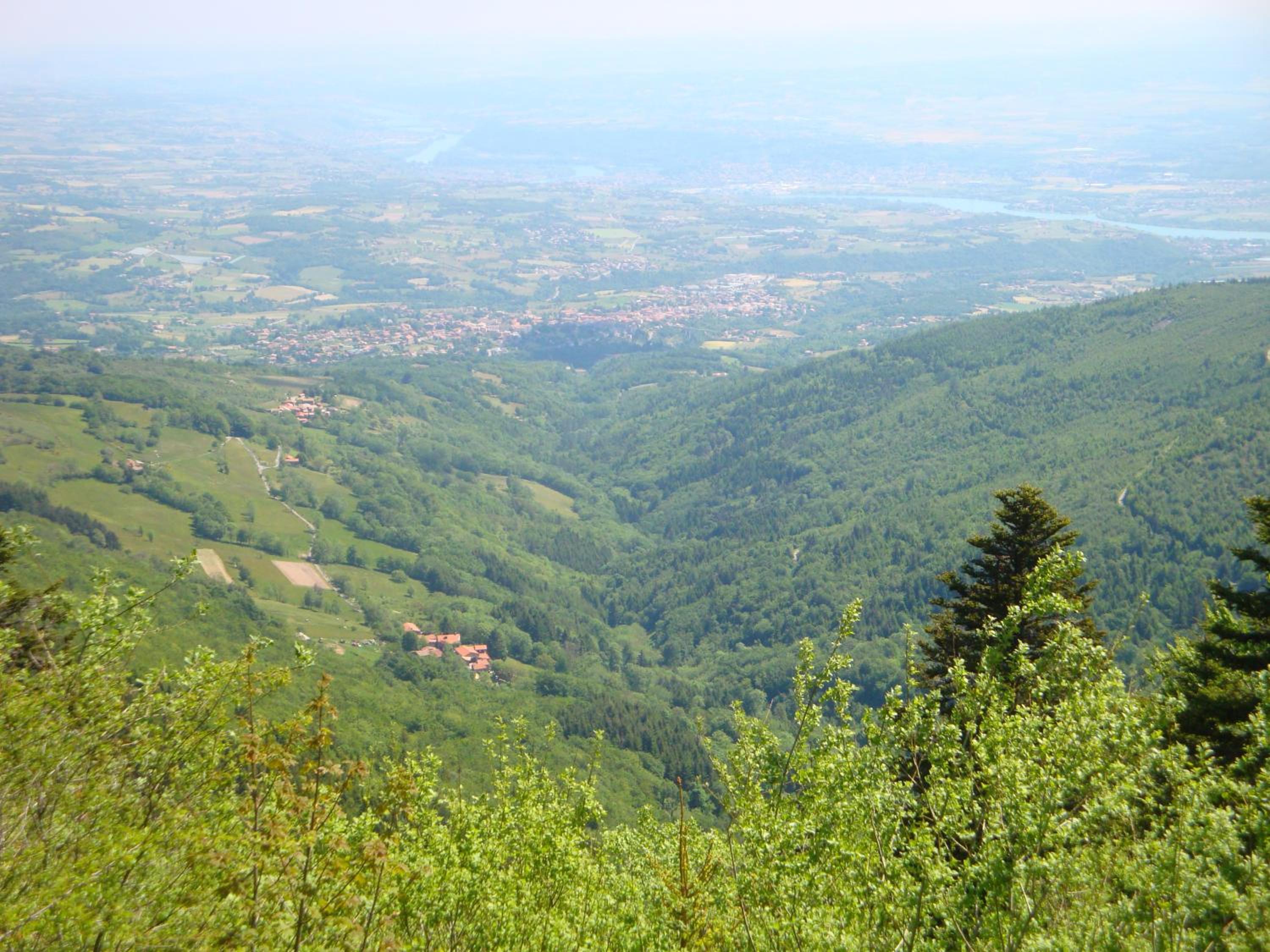Photo 23