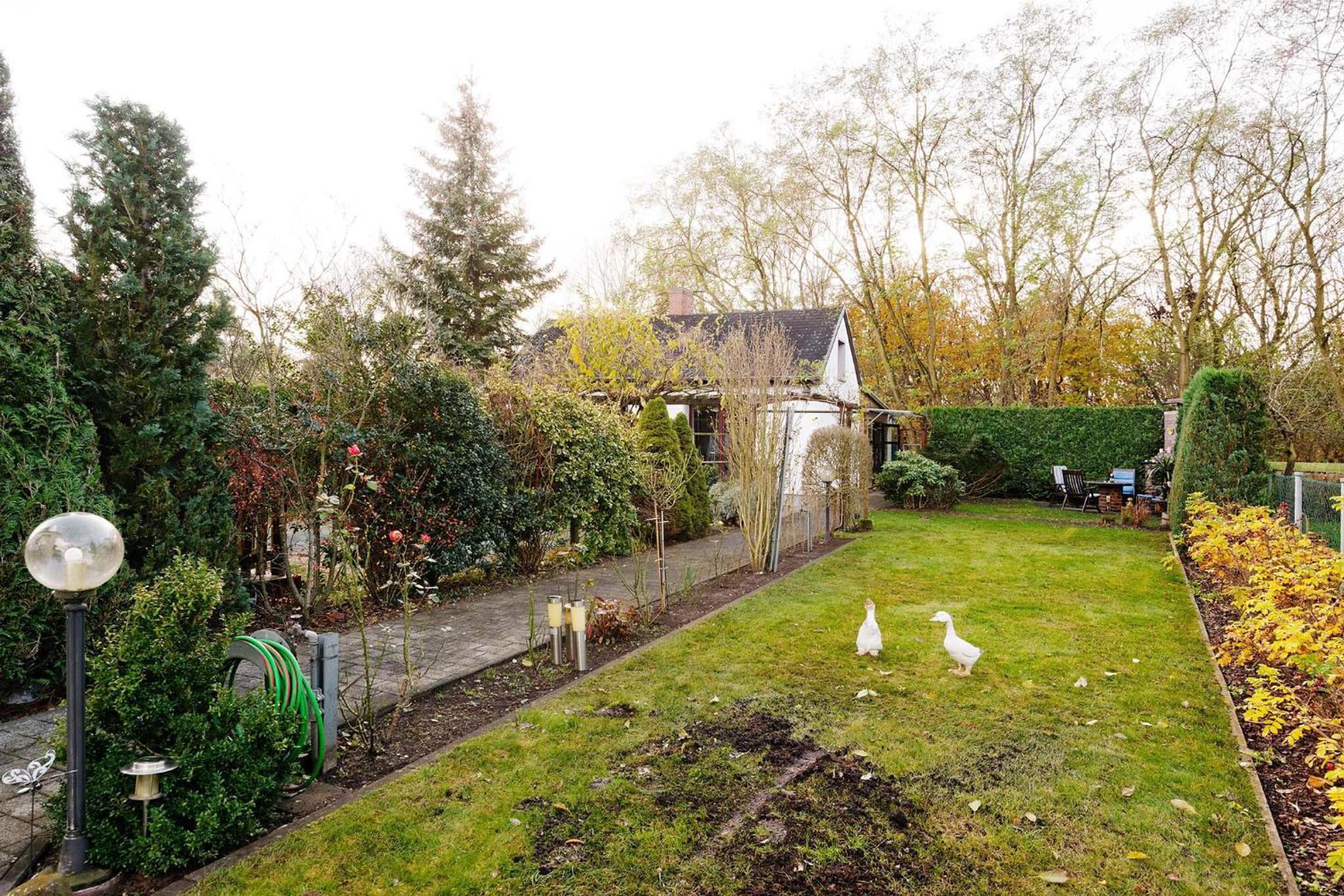 Cottage near centrum, paradise