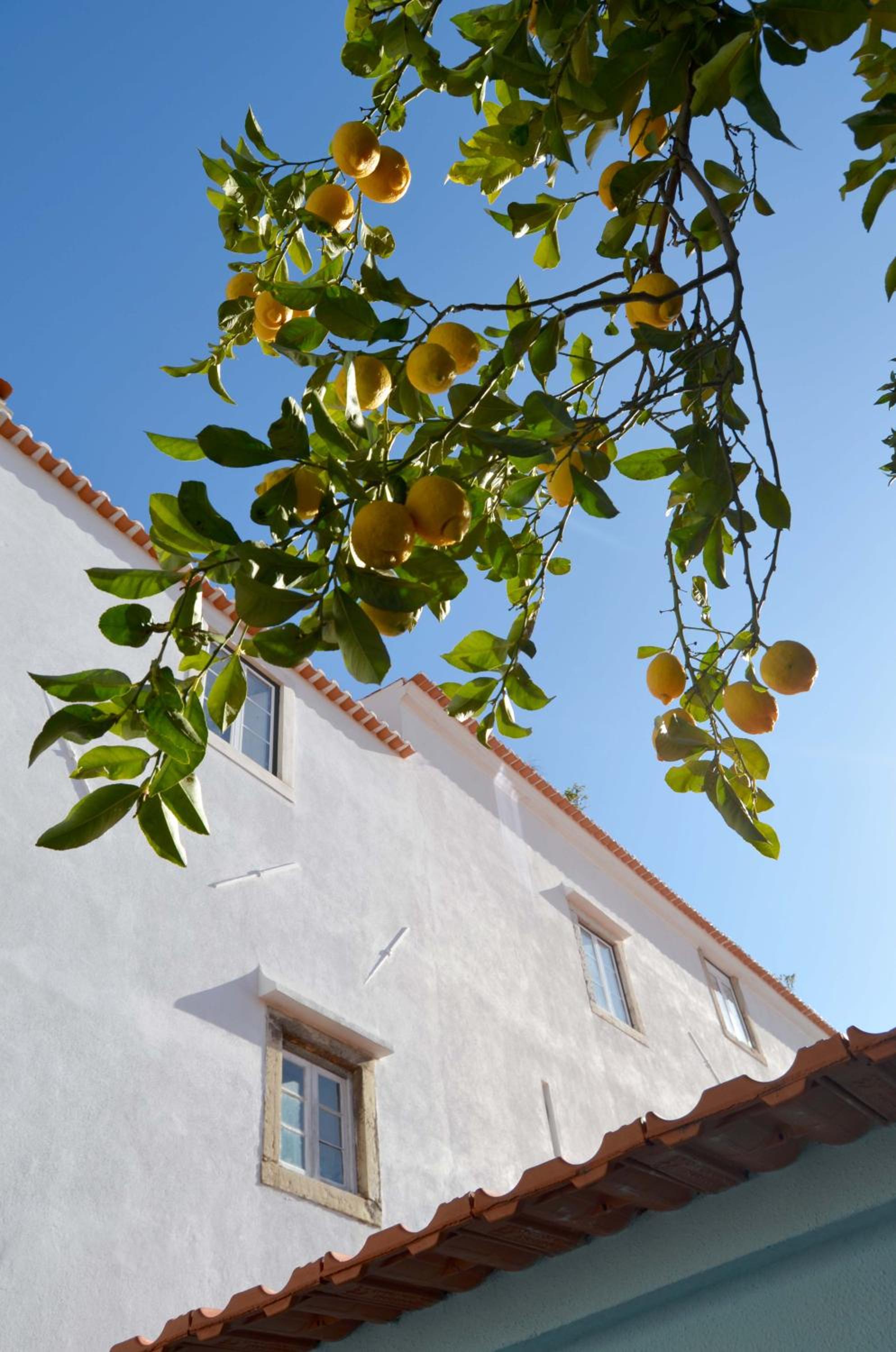 Proa d'Alfama Guest House