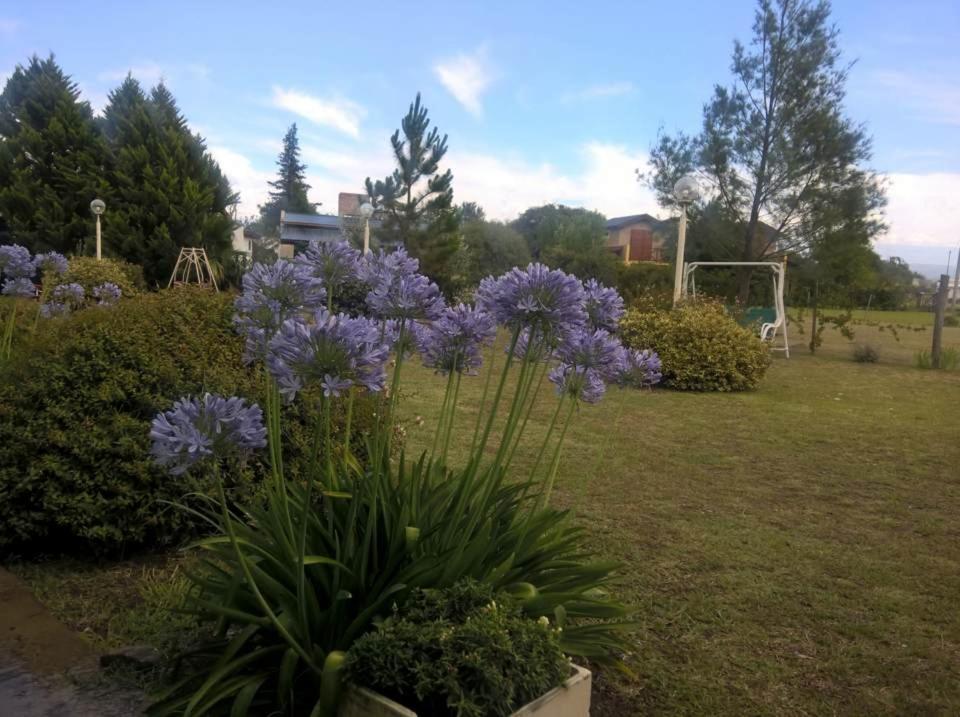 Cabanas Valle Azul